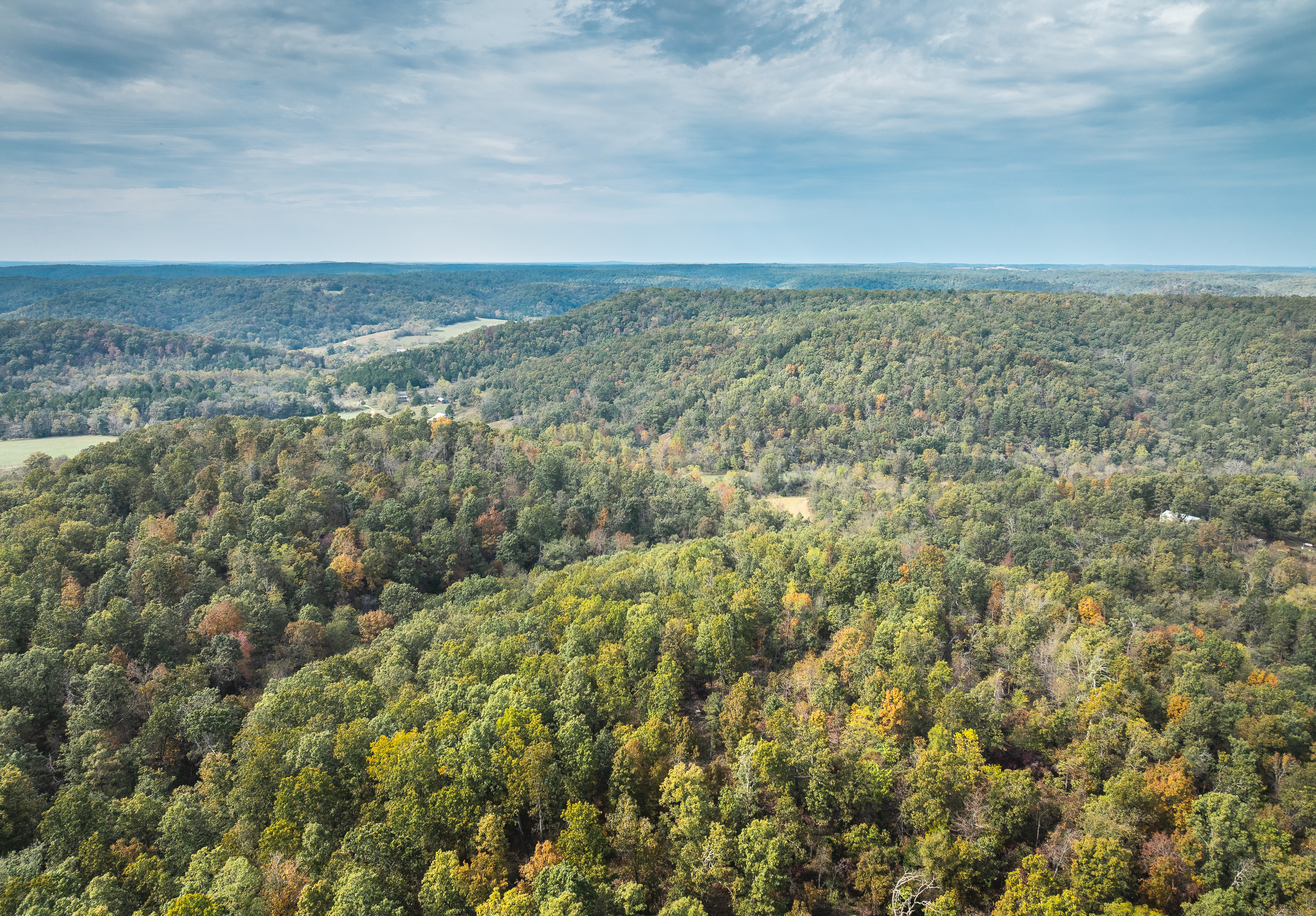 Little Gladden Creek Hunter