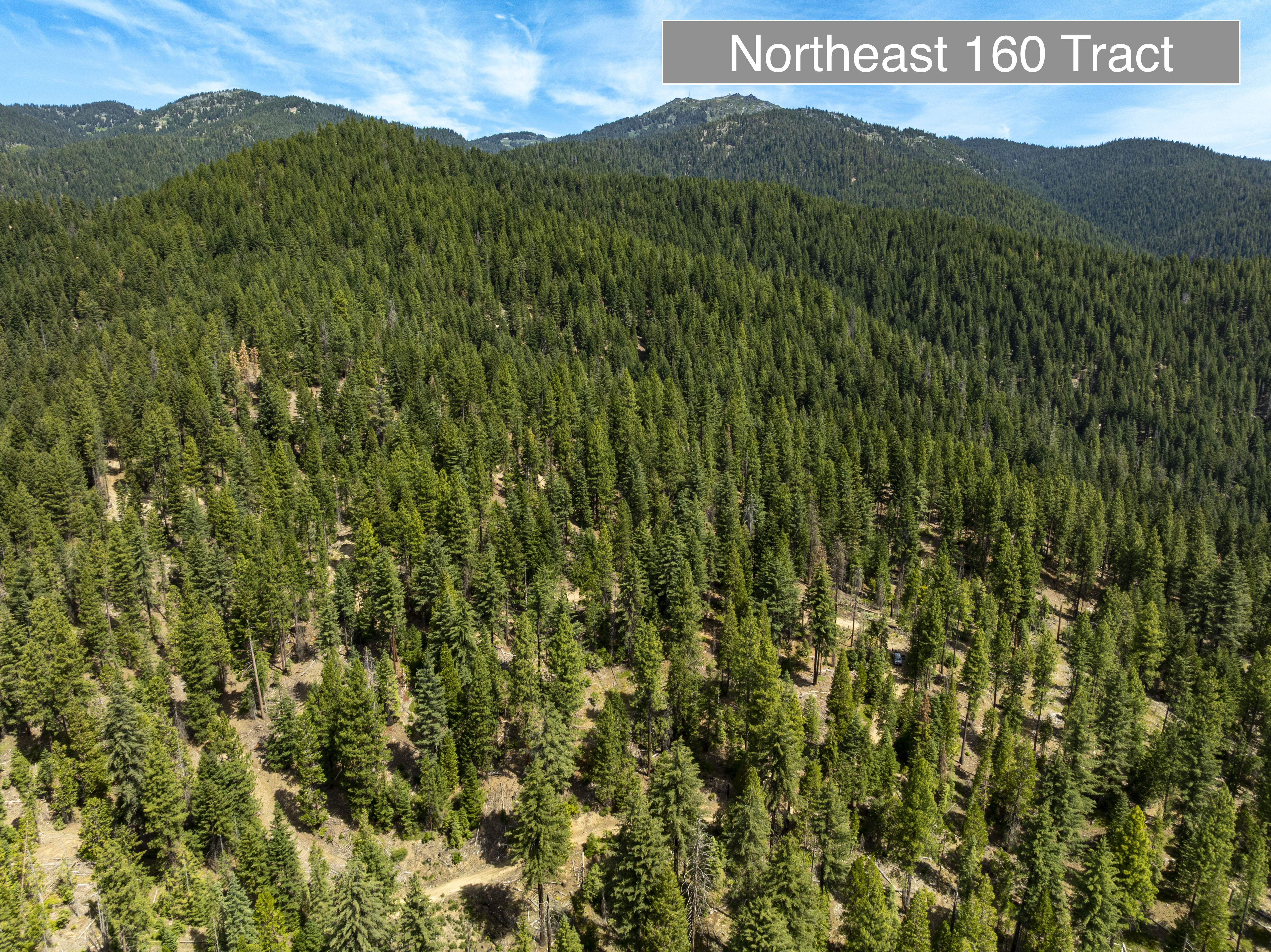 Listing Image 51