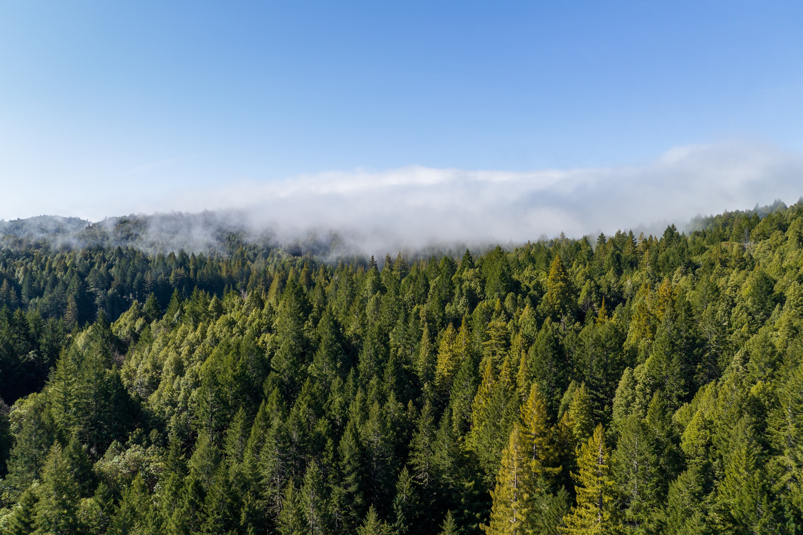 Elk Meadow Ranch