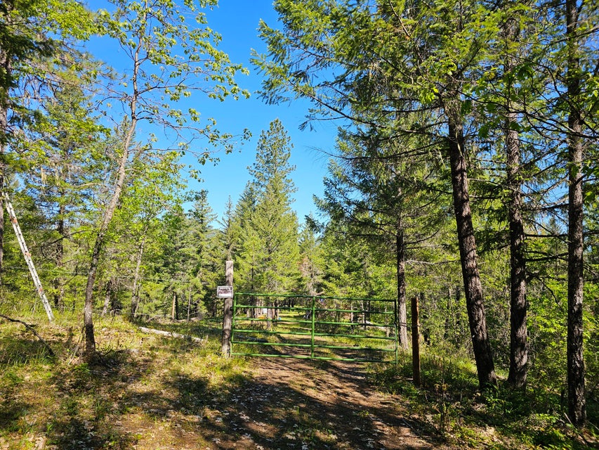 Listing Image 46