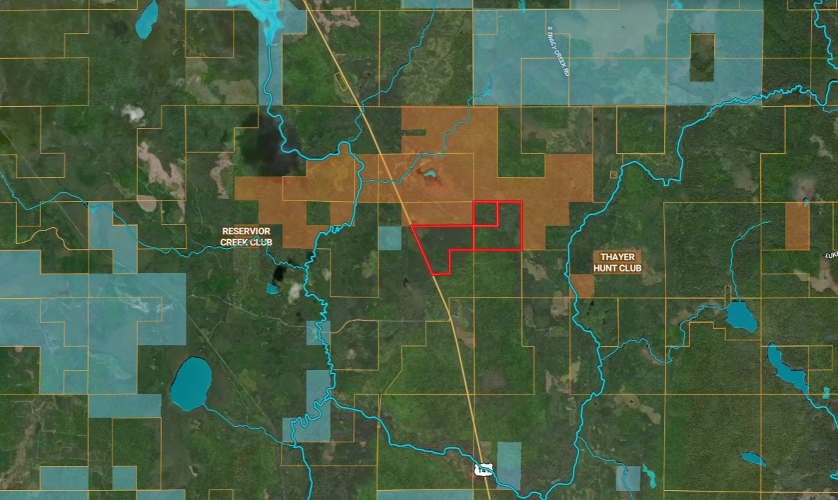 288 +/- Wooded Acreage 50175744