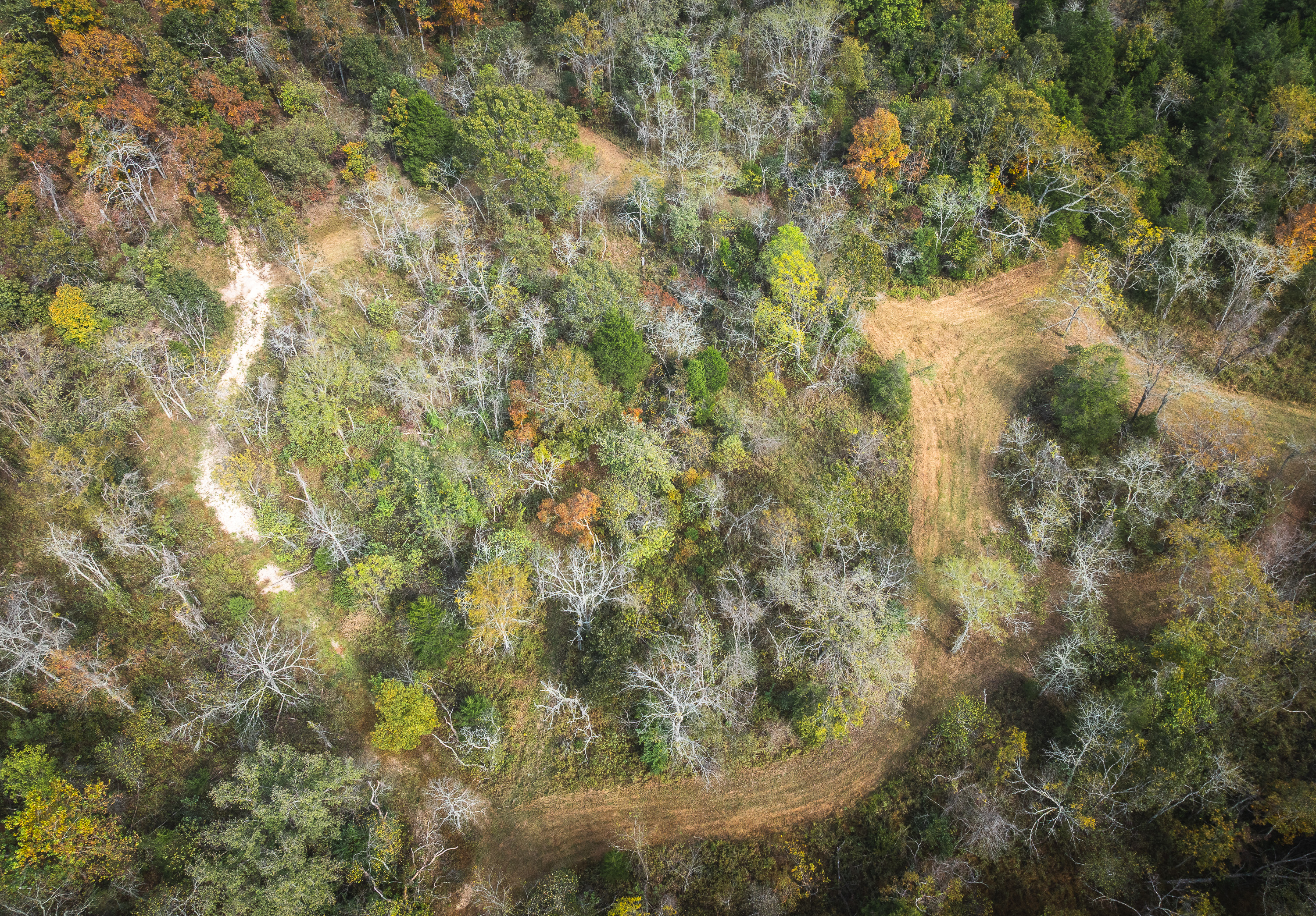 Little Gladden Creek Hunter