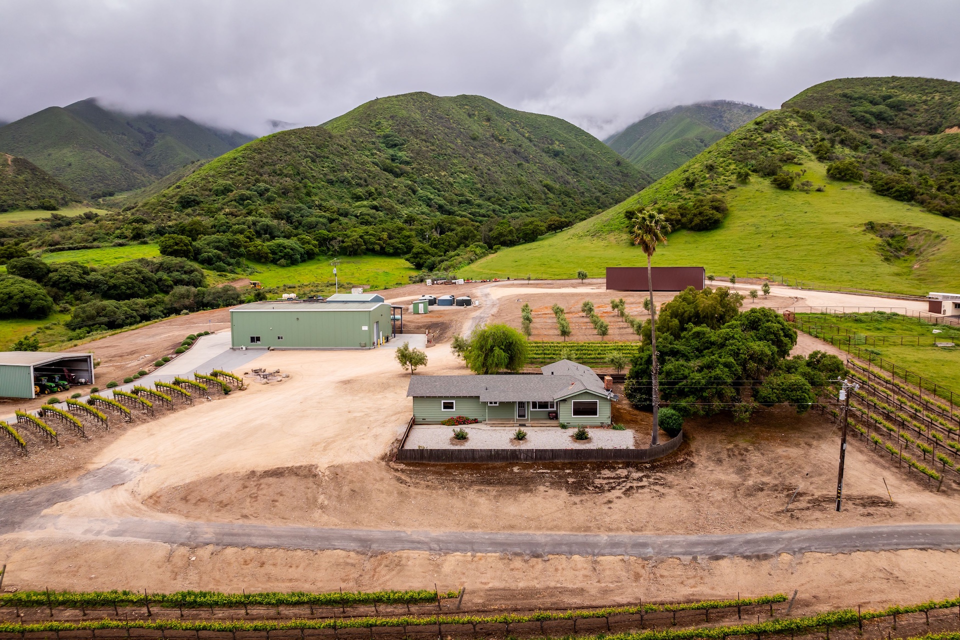 Boekenoogen Santa Lucia Highlands Vineyard