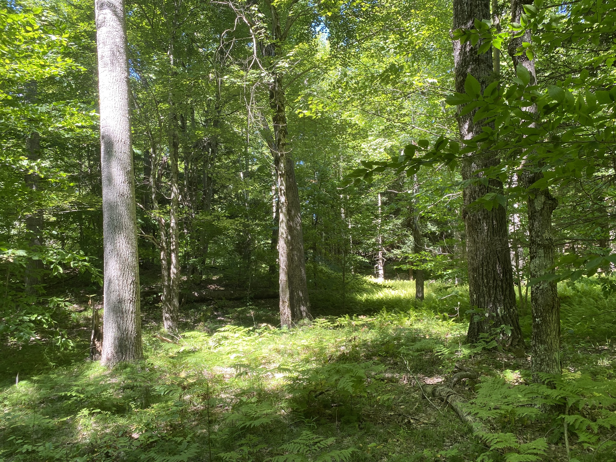 Plumb Brook Country Retreat