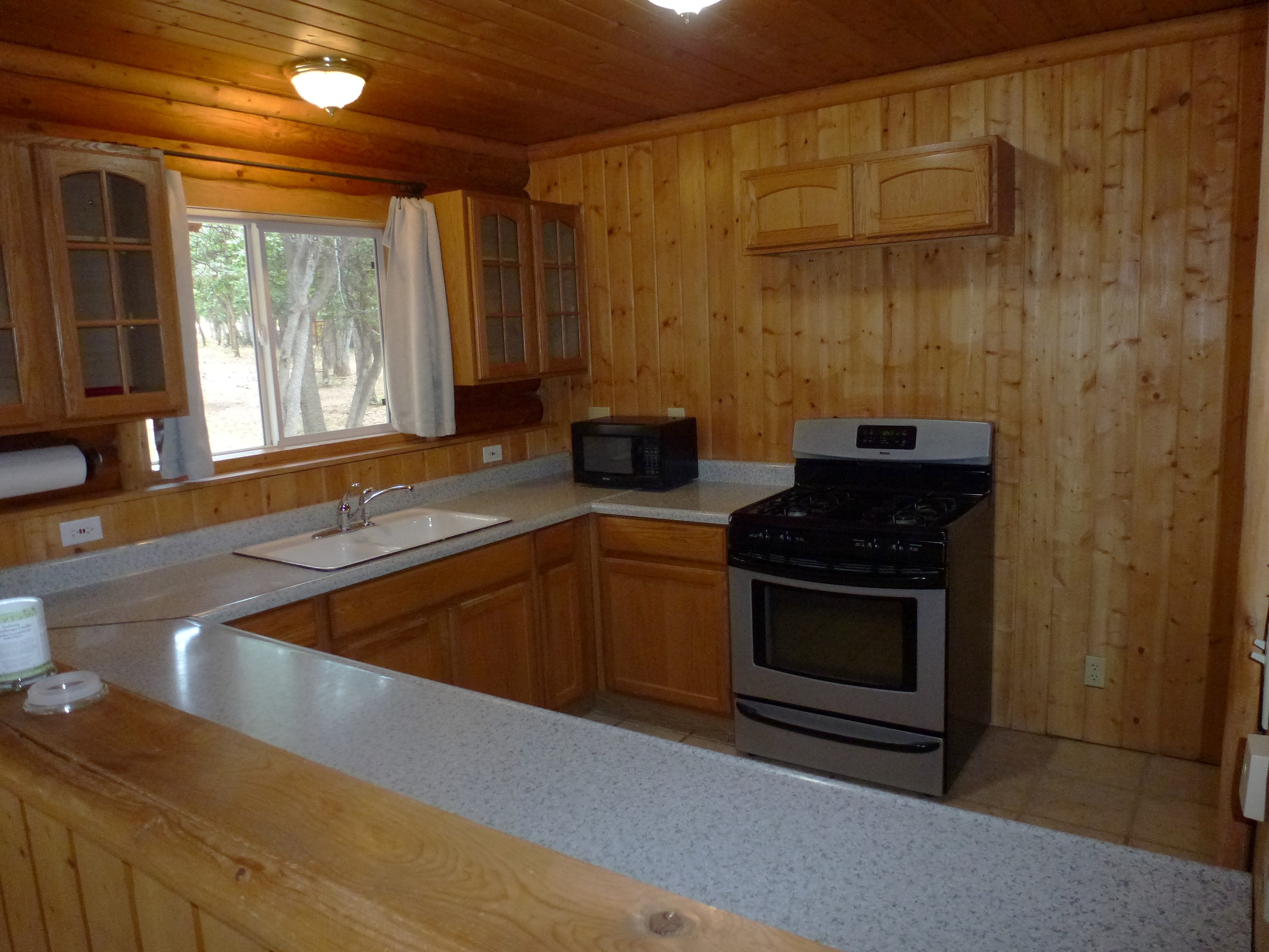 Log Home in the Pines