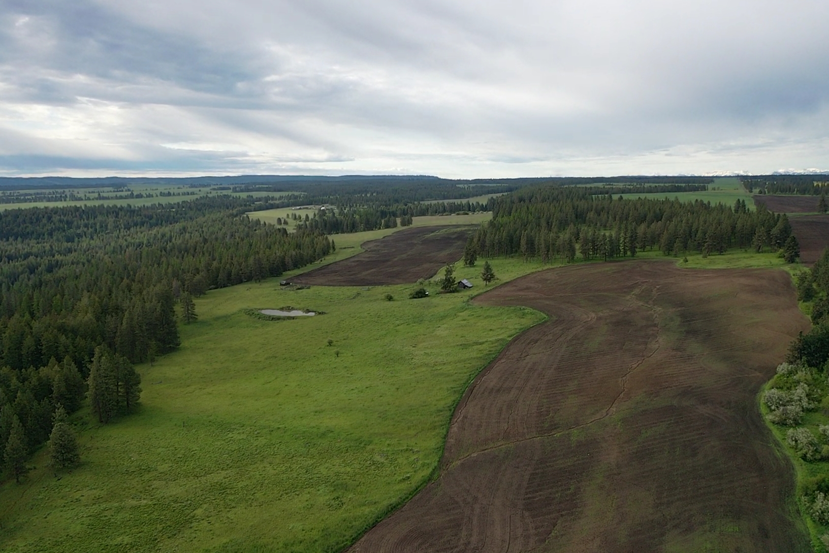 Buford Ridge Ranch