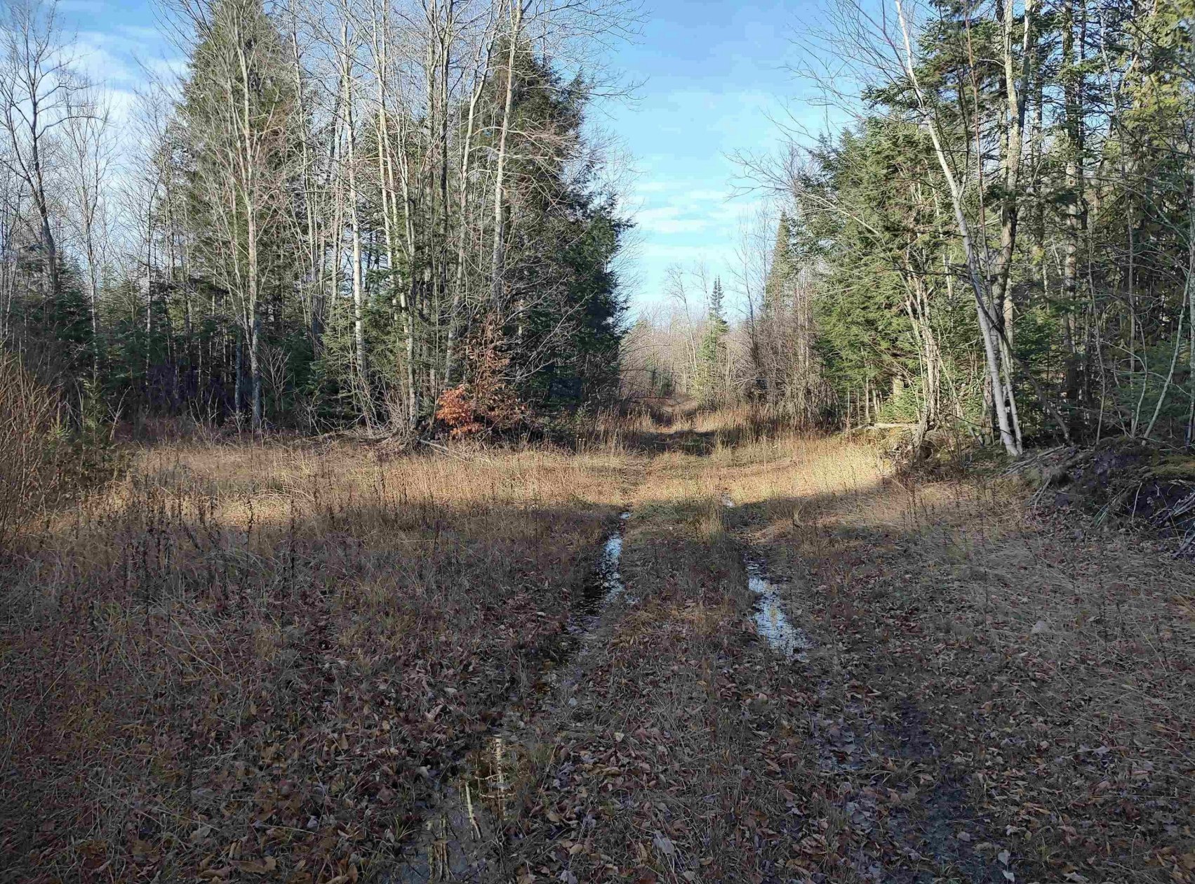 Northwoods Recreation Haven 50184509