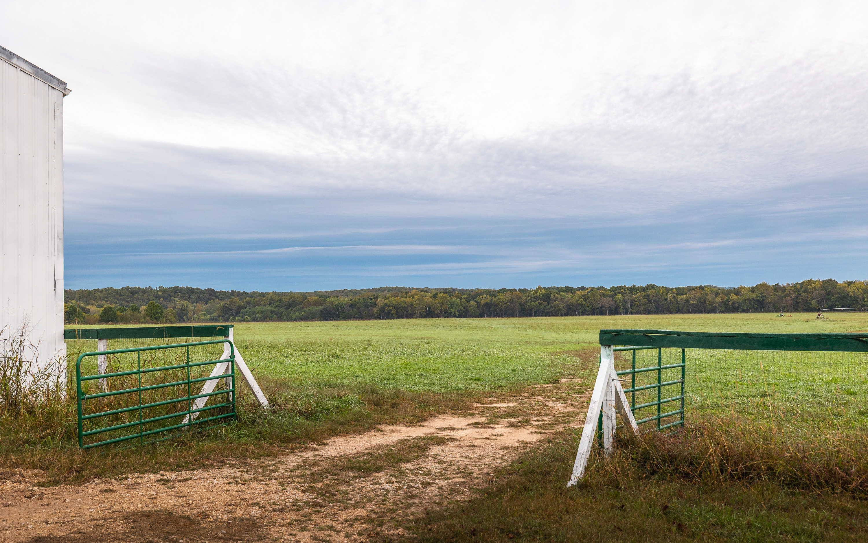 Listing Image 79