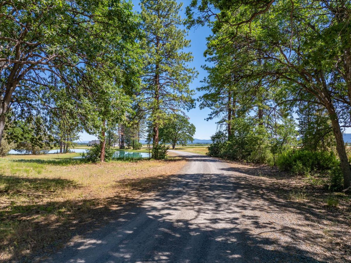 Listing Image 84