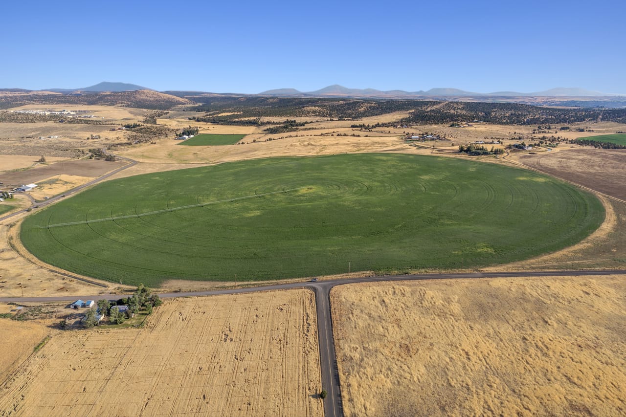 NE Cherry Lane - Productive Irrigated Farm for Sale