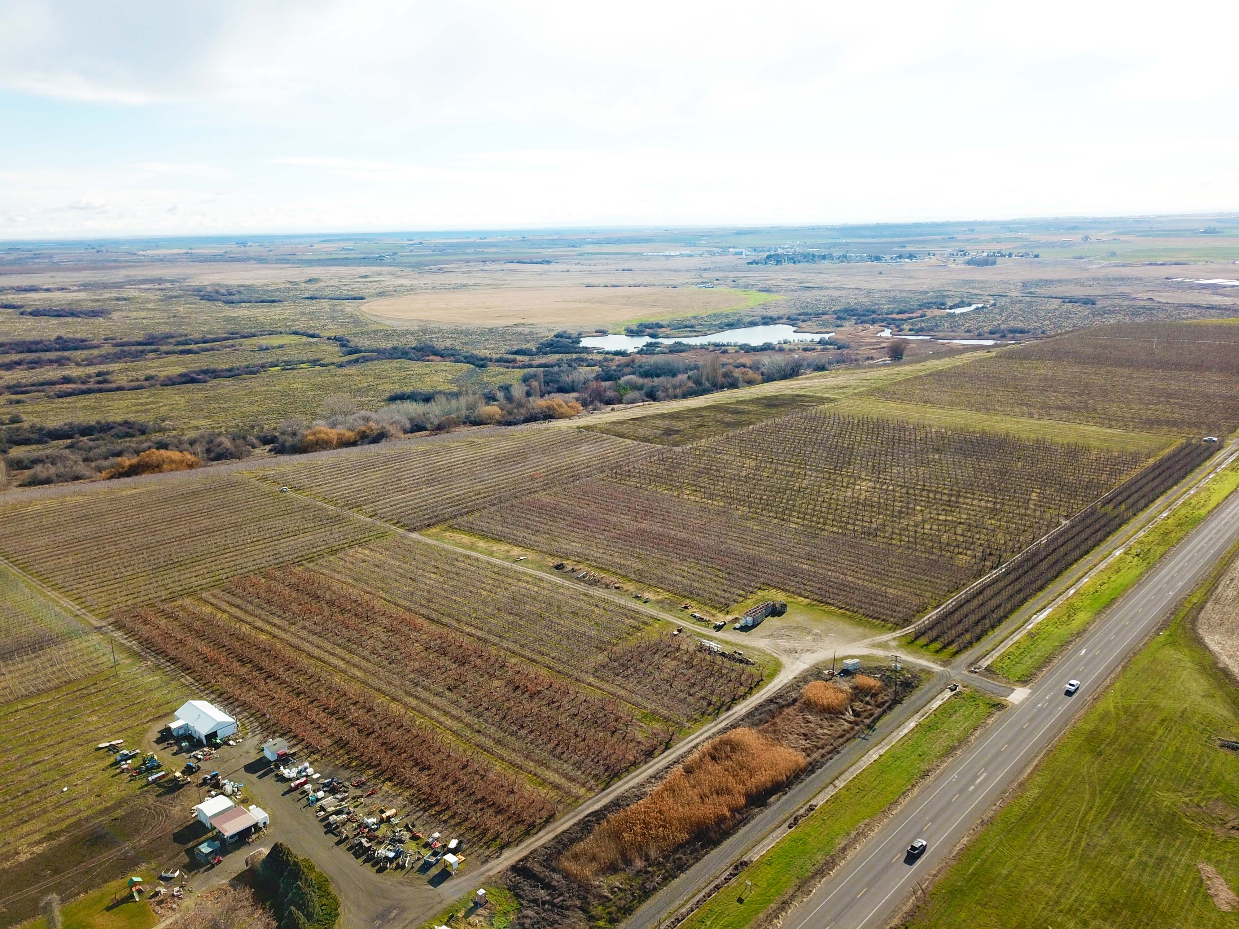 Best Price in County for Productive Orchard