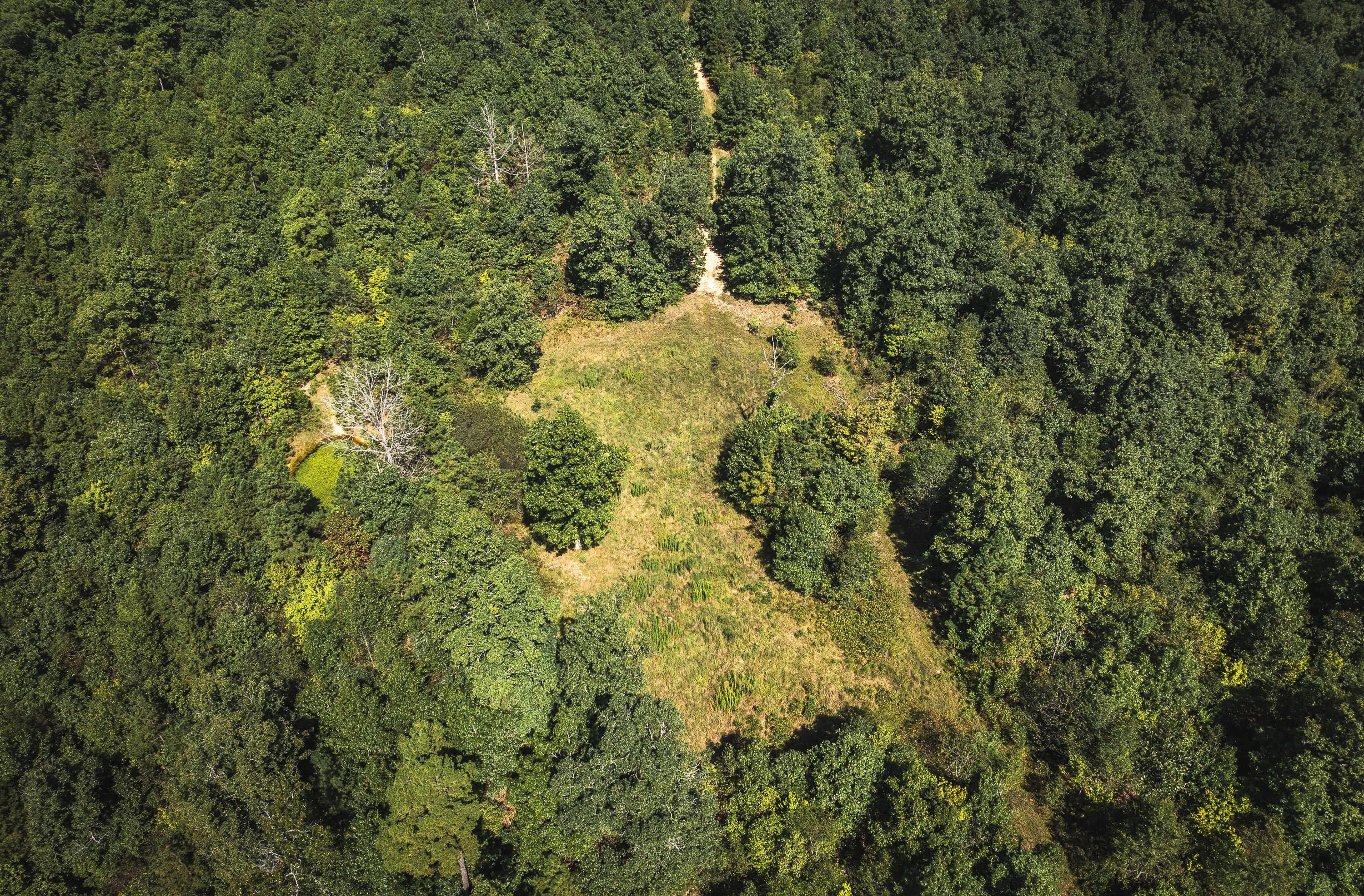 Ozark Wilderness Retreat