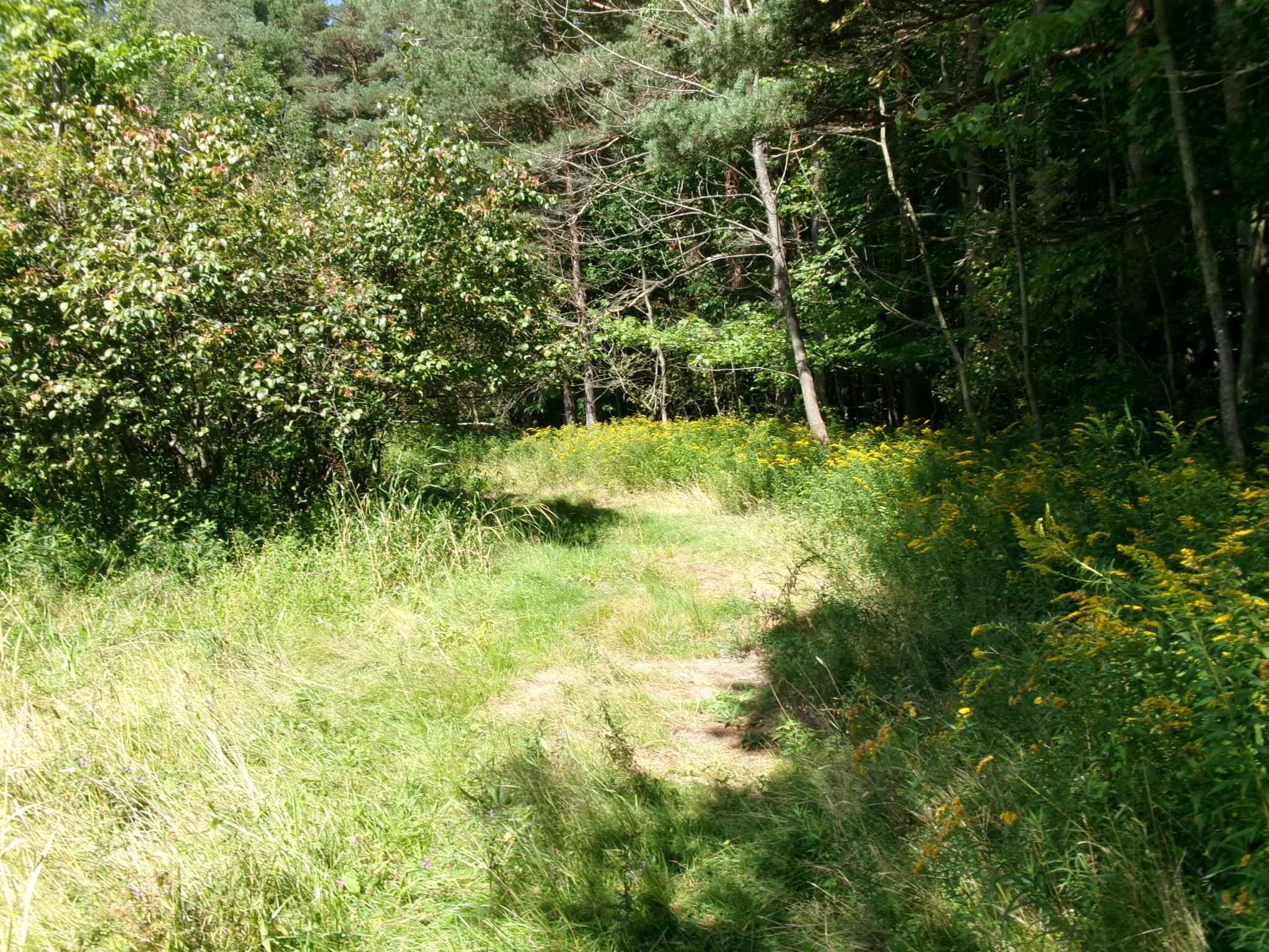 Listing Image 29