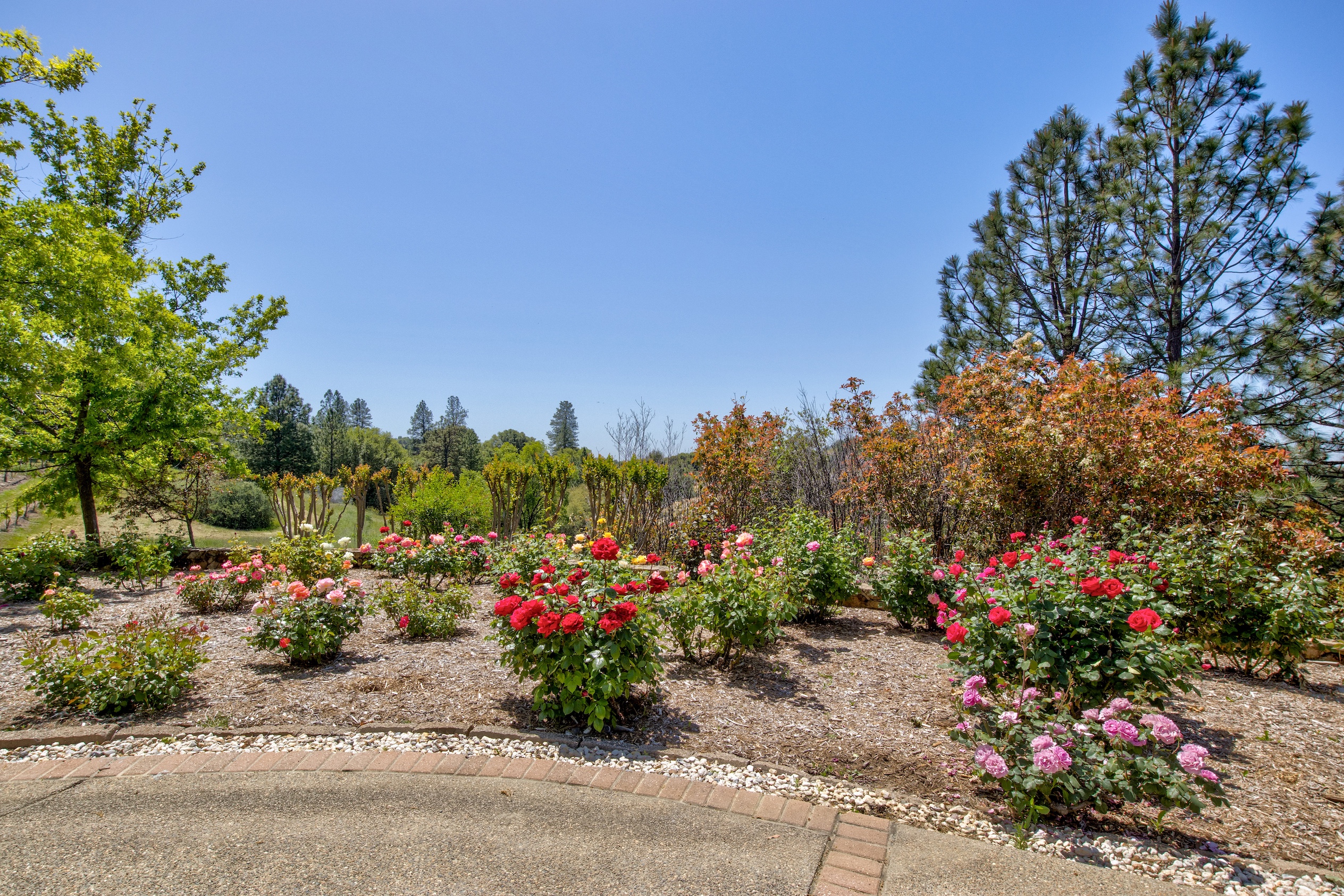 Listing Image 54
