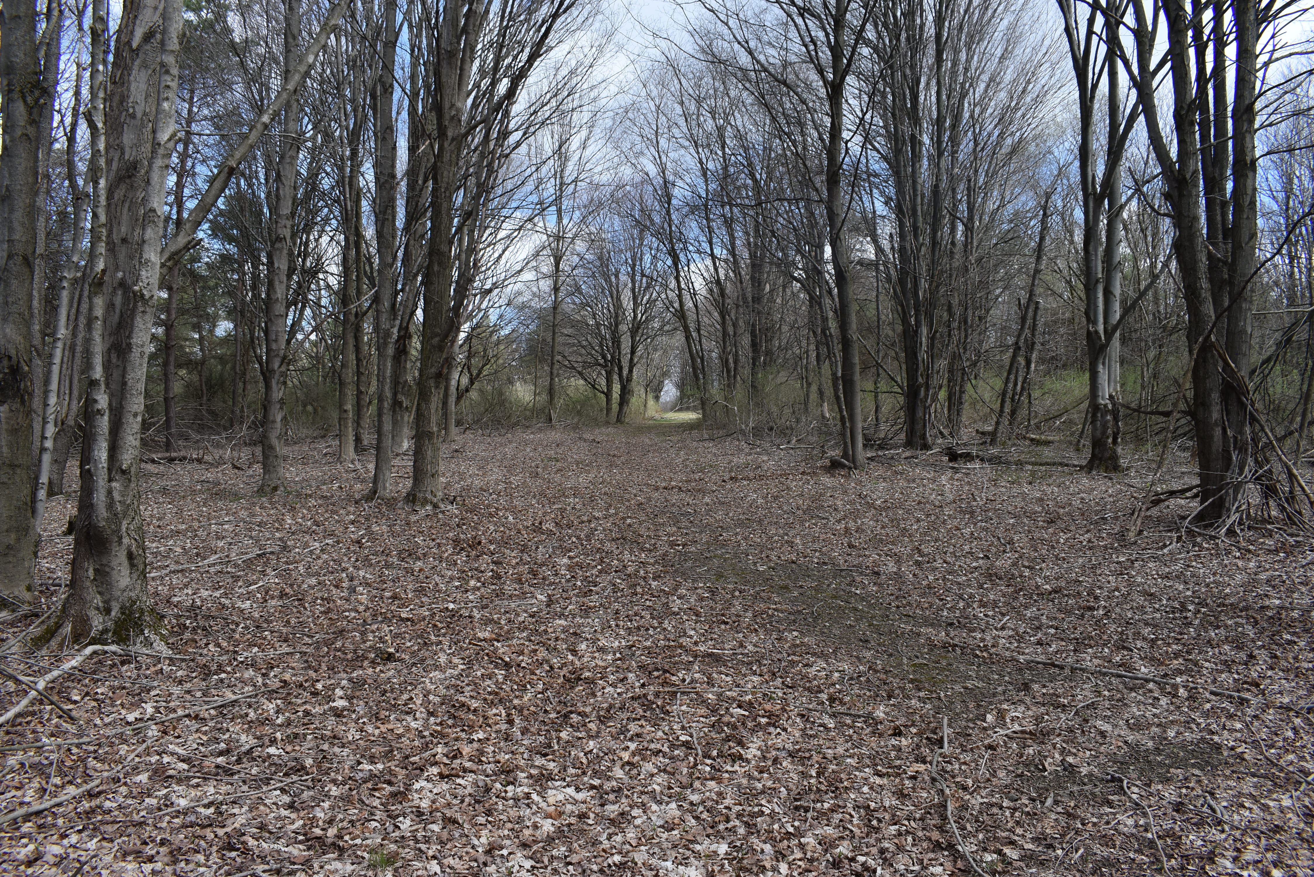 Listing Image 91
