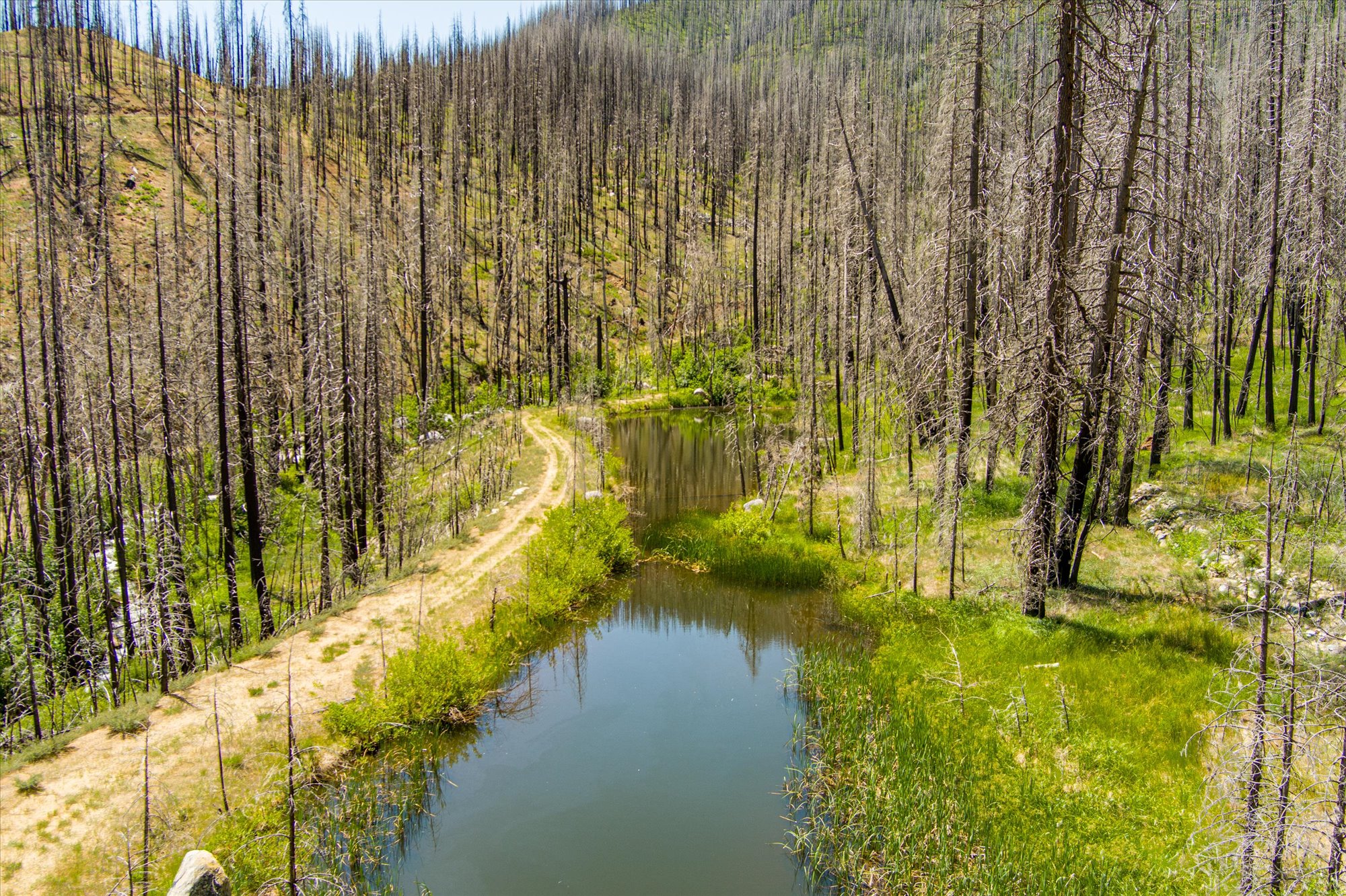 Almay Ranch
