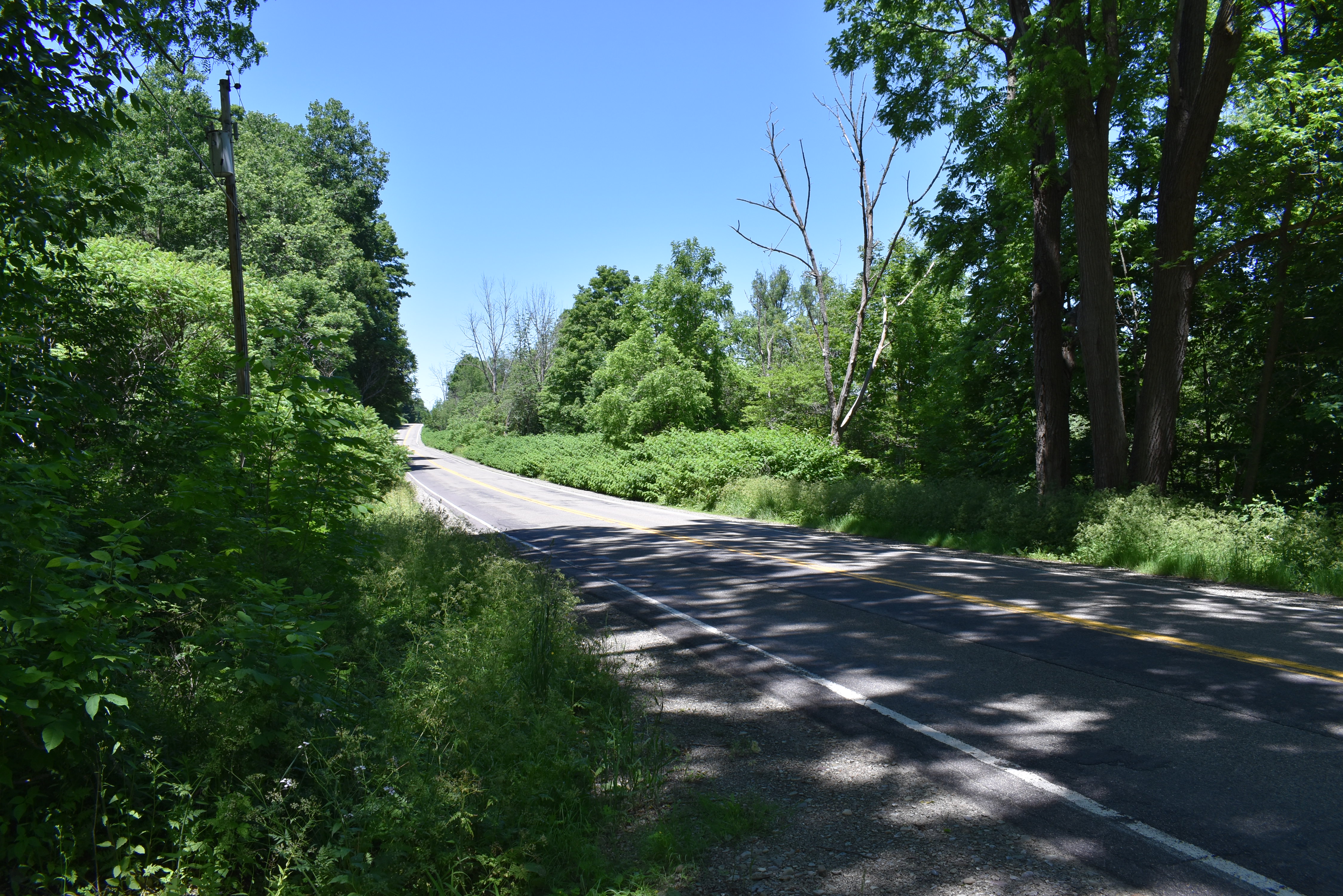 Fabulous Farrington Hollow