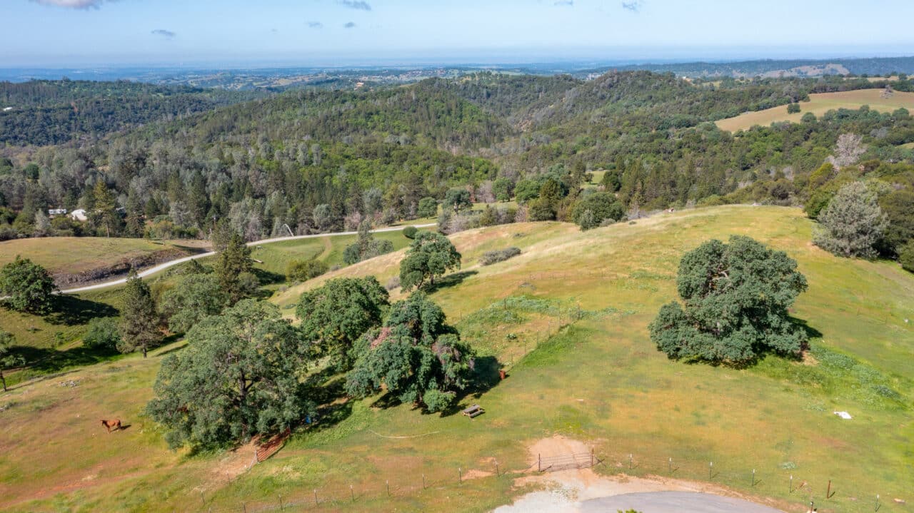 Trembath Mountain Vista