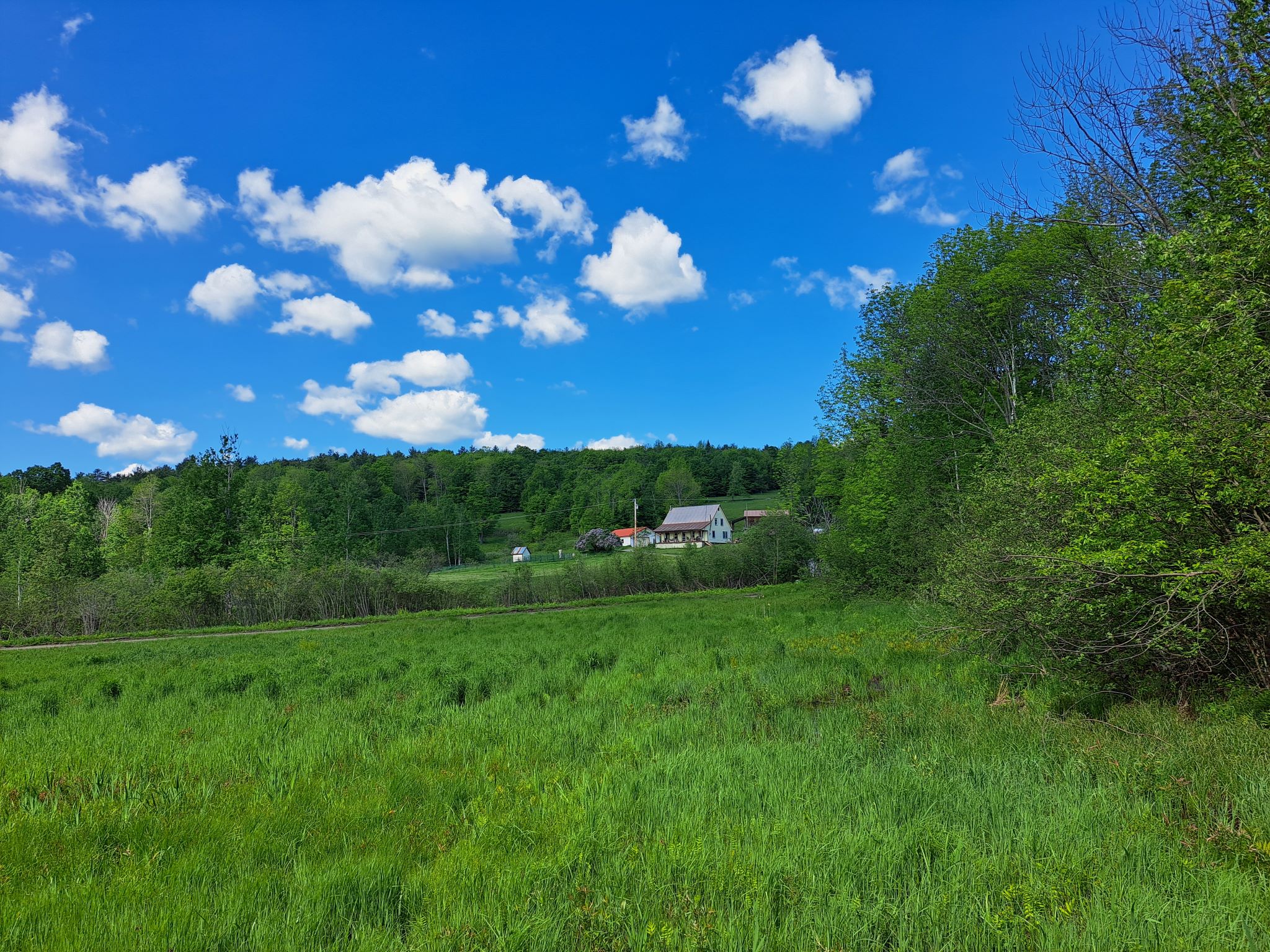 Listing Image 72