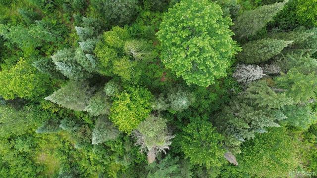 Pure Seclusion River Frontage 50181073