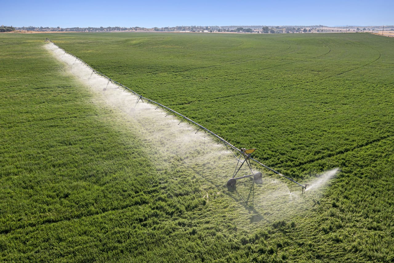 NE Cherry Lane - Productive Irrigated Farm for Sale