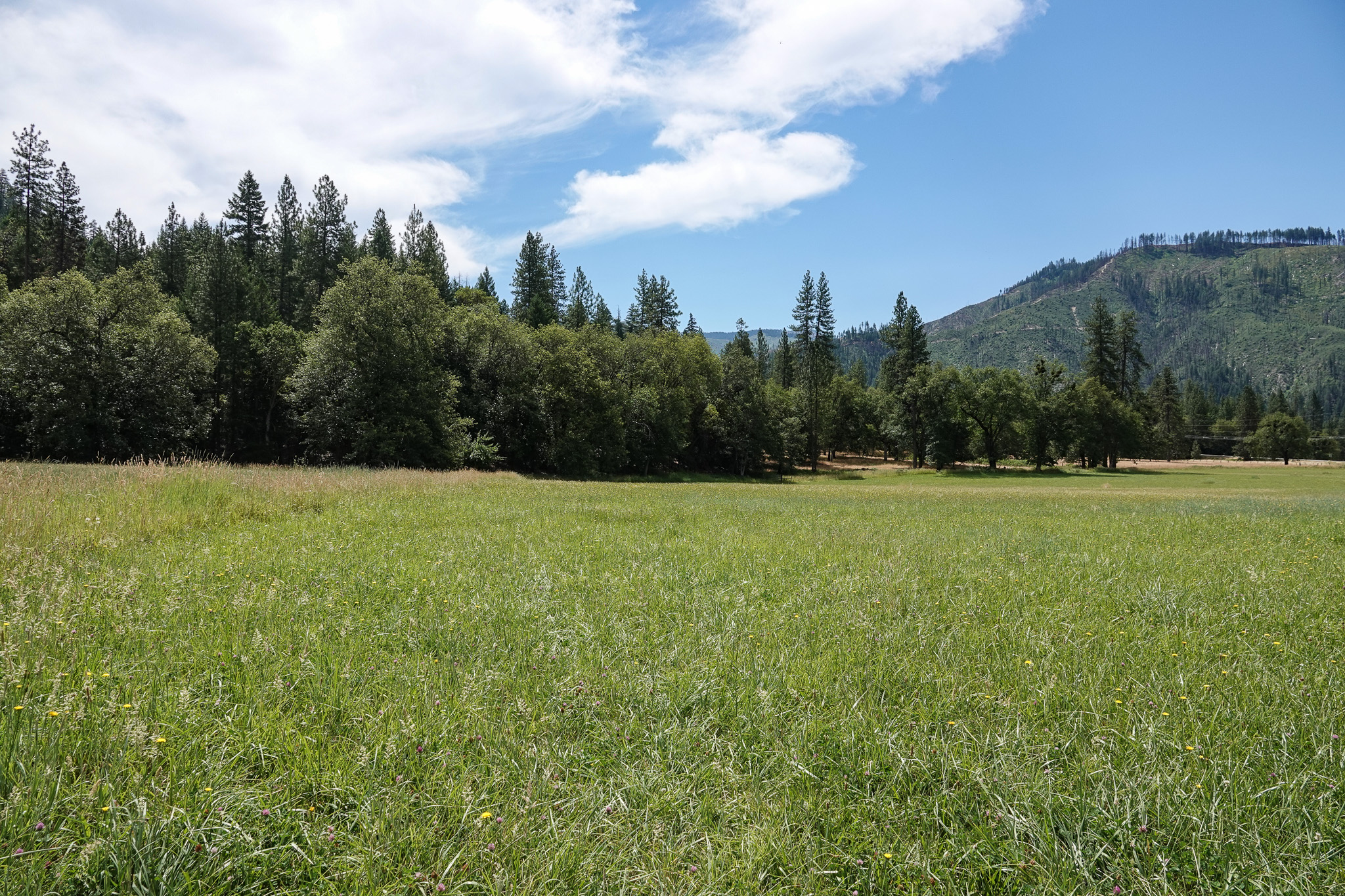 Listing Image 67