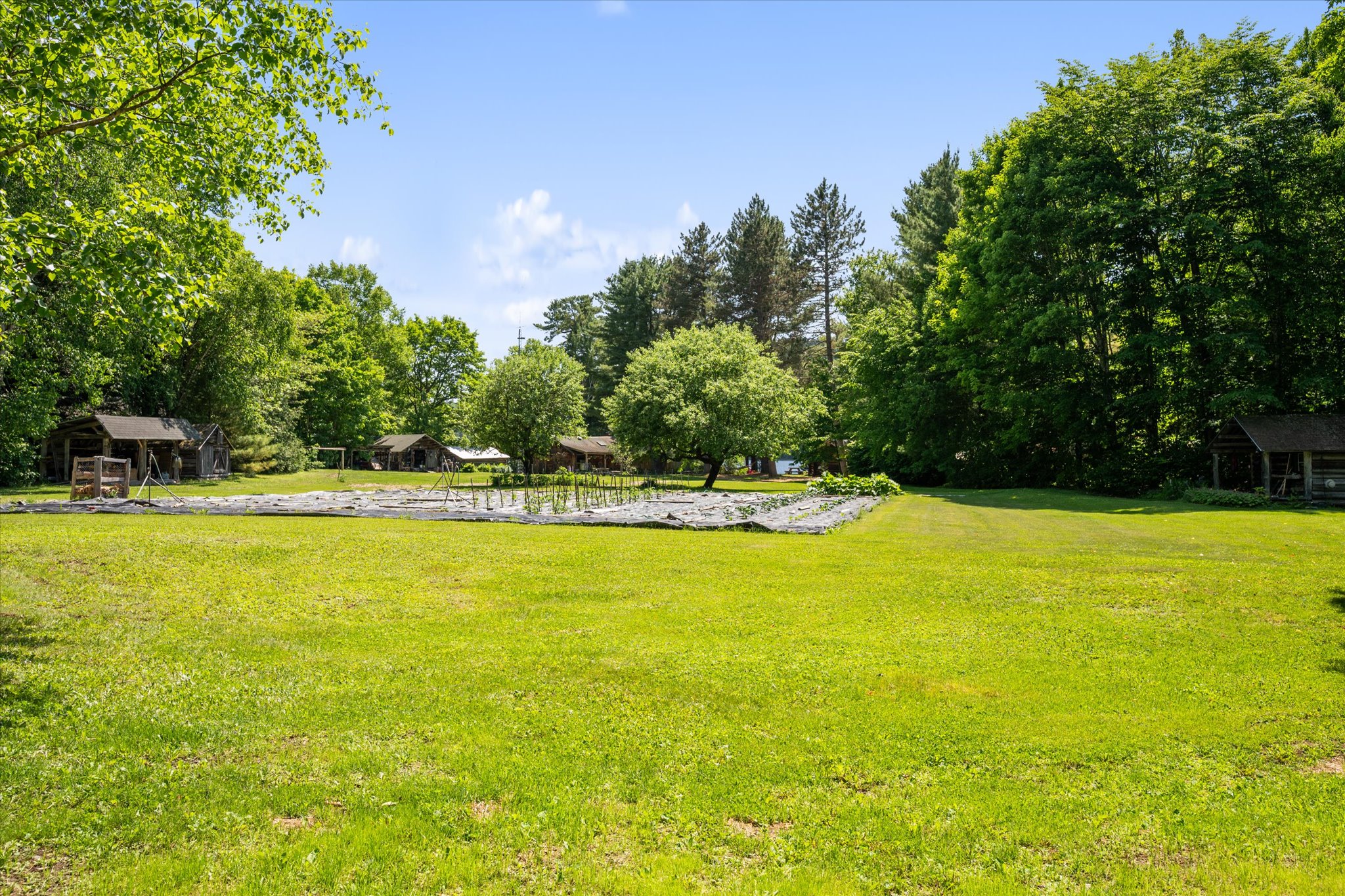 Listing Image 74