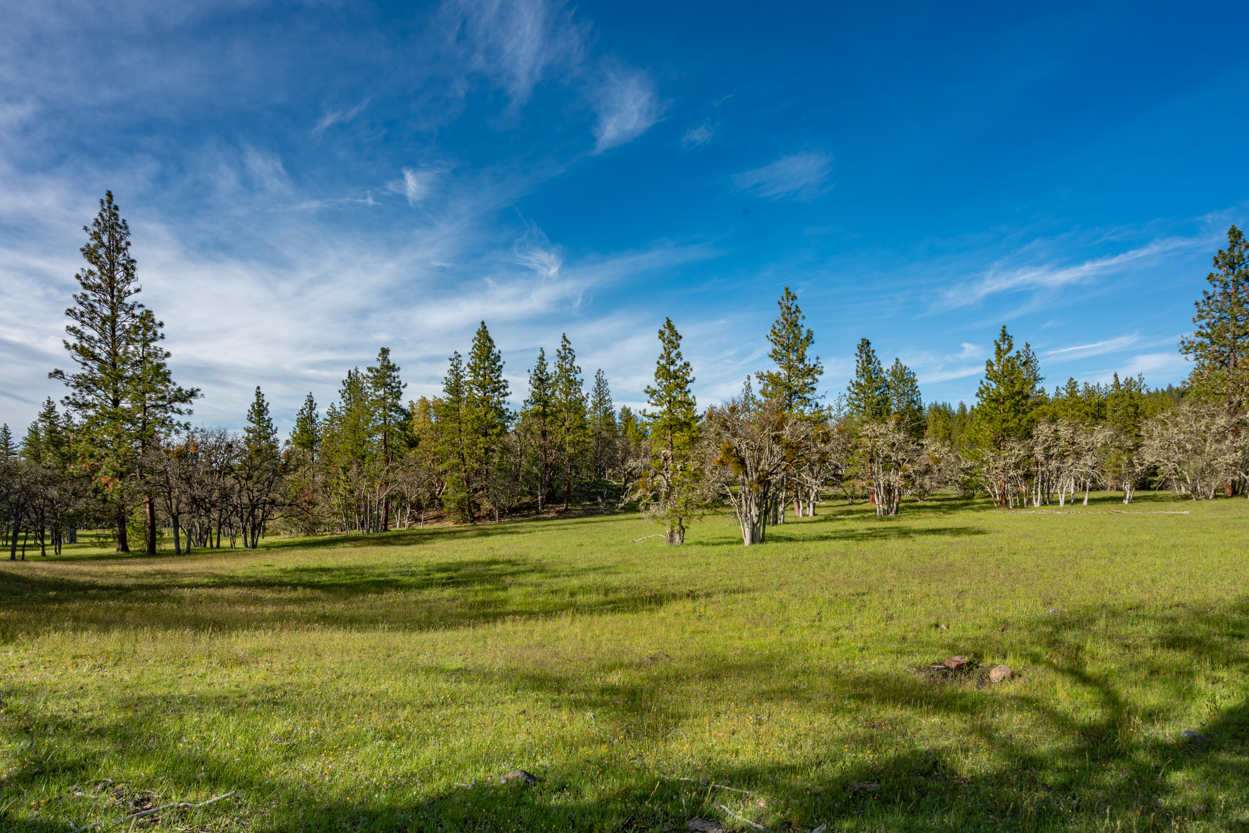 Mount Baldy Ranch