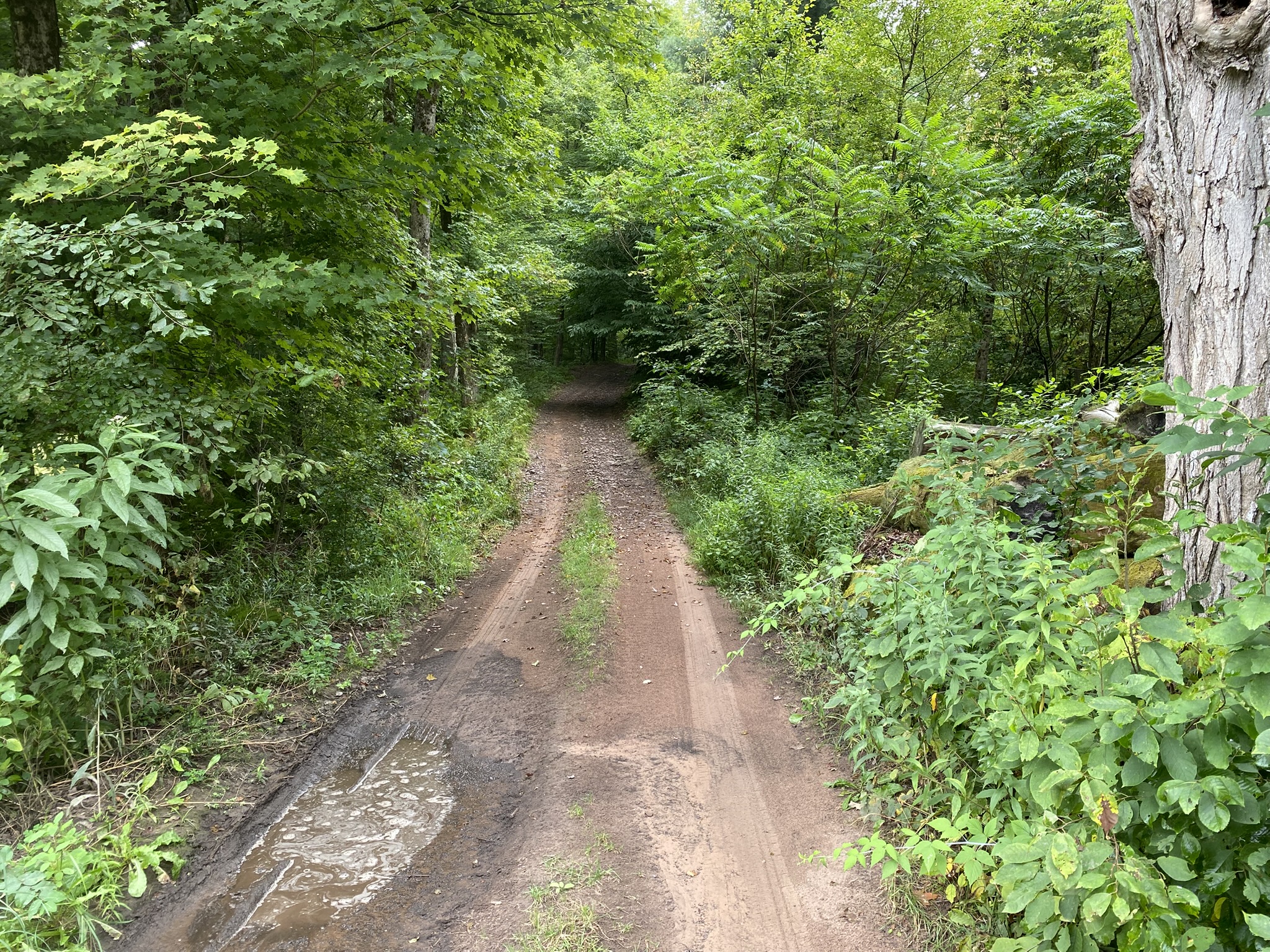 Cabin on the Little River