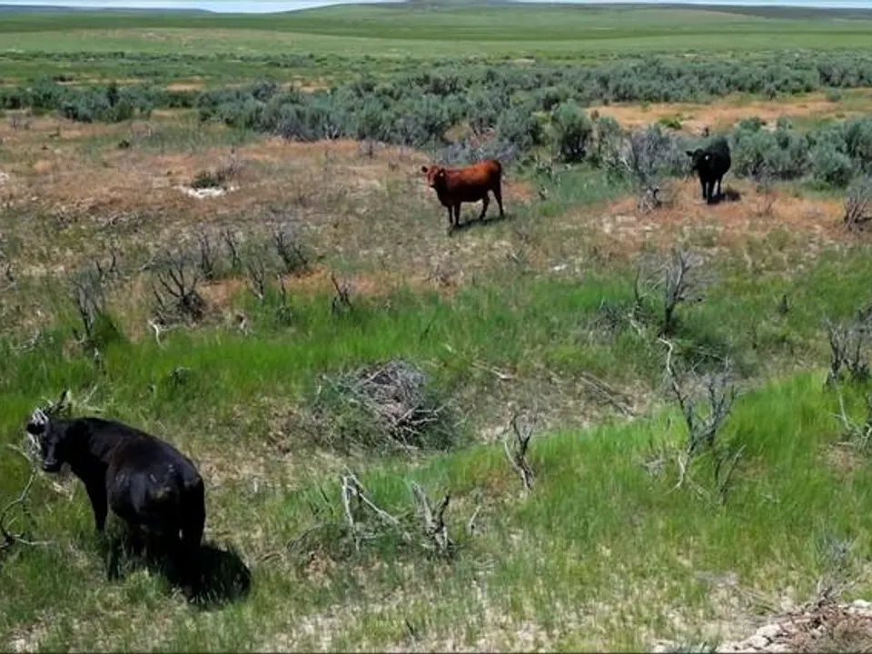 Maybell Grazing & Big Game Ranch