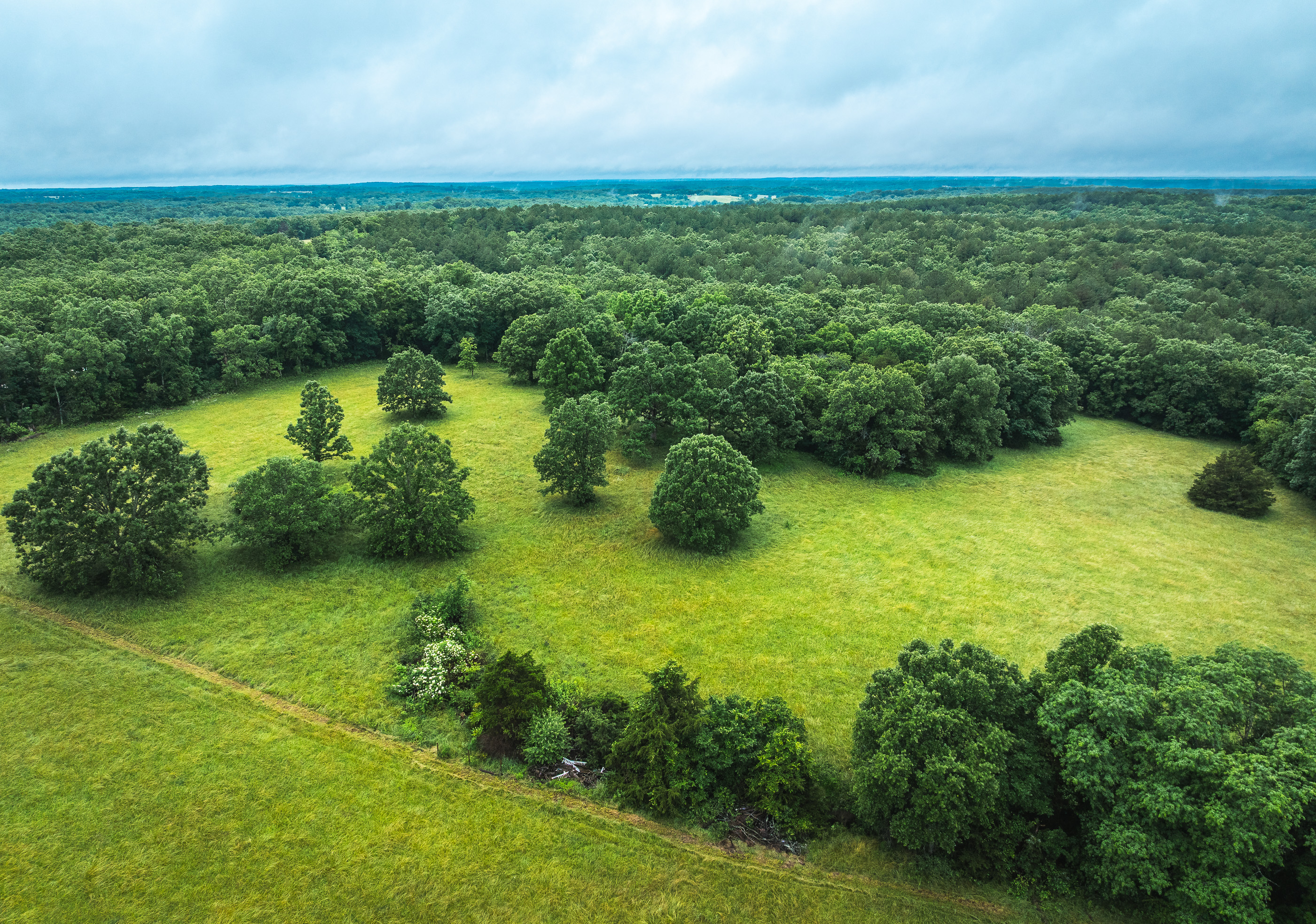 T-Cross Farm Tract 3