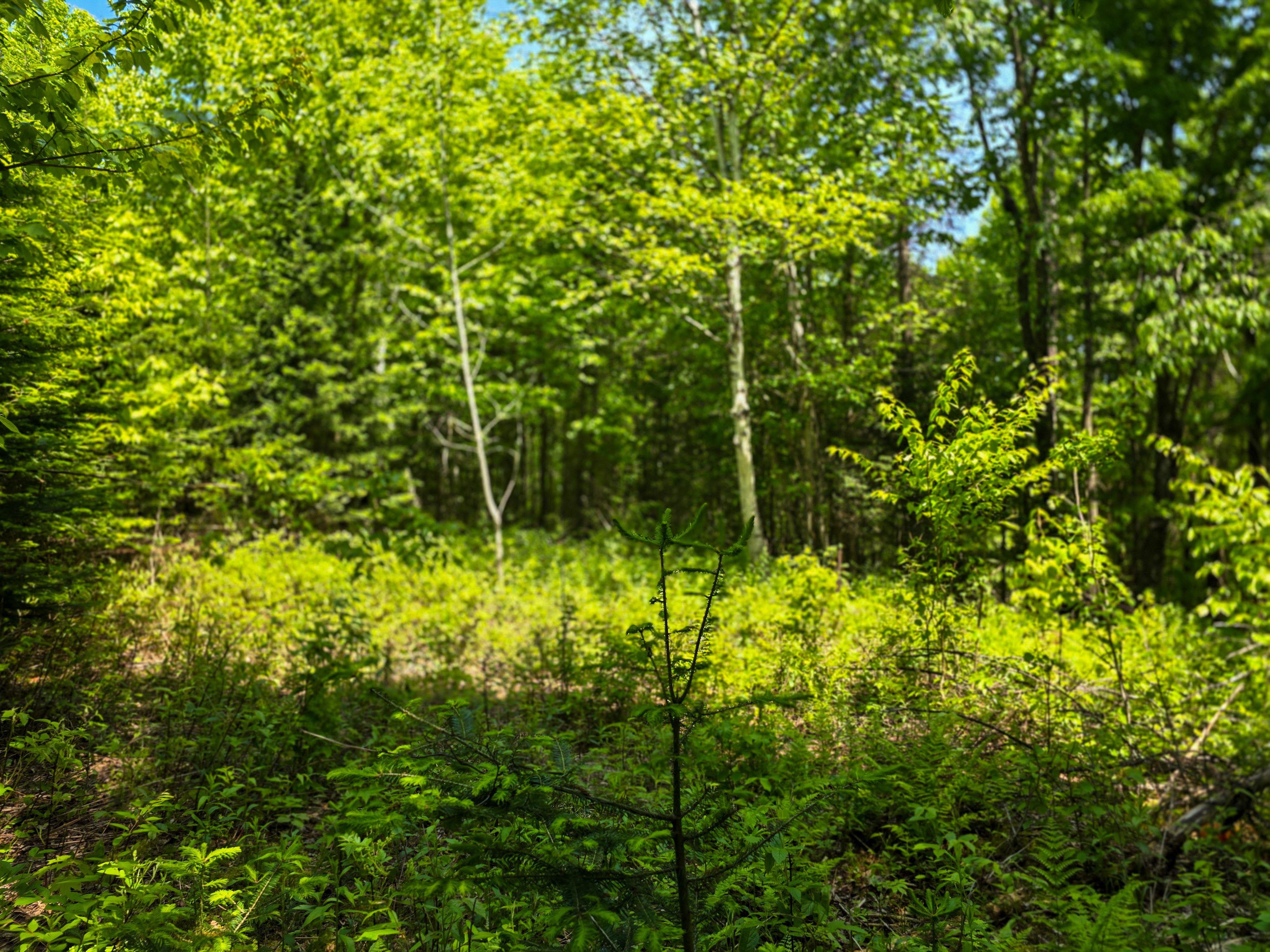 150 Spur Rd - Bloomfield