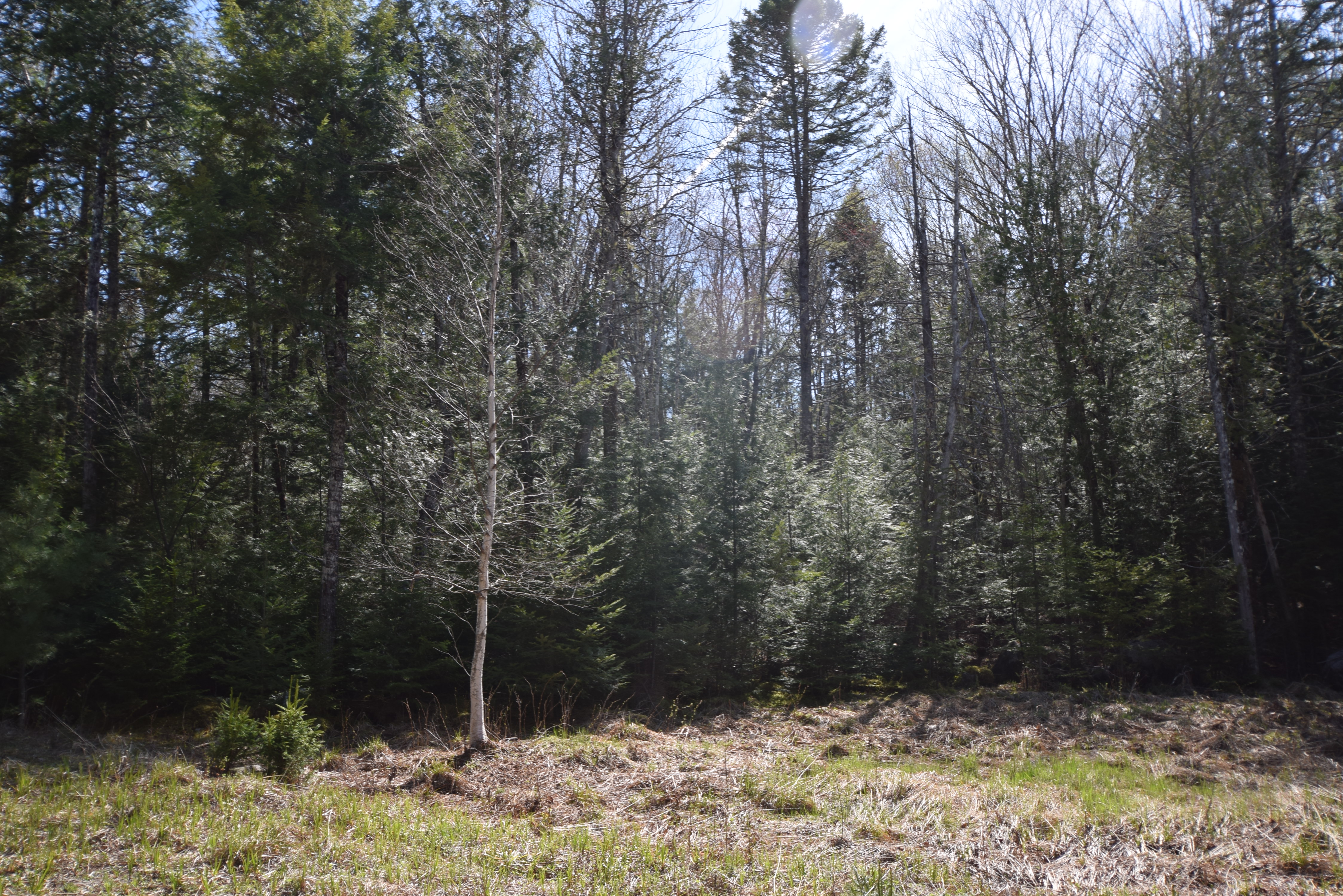 Long Lake Lot