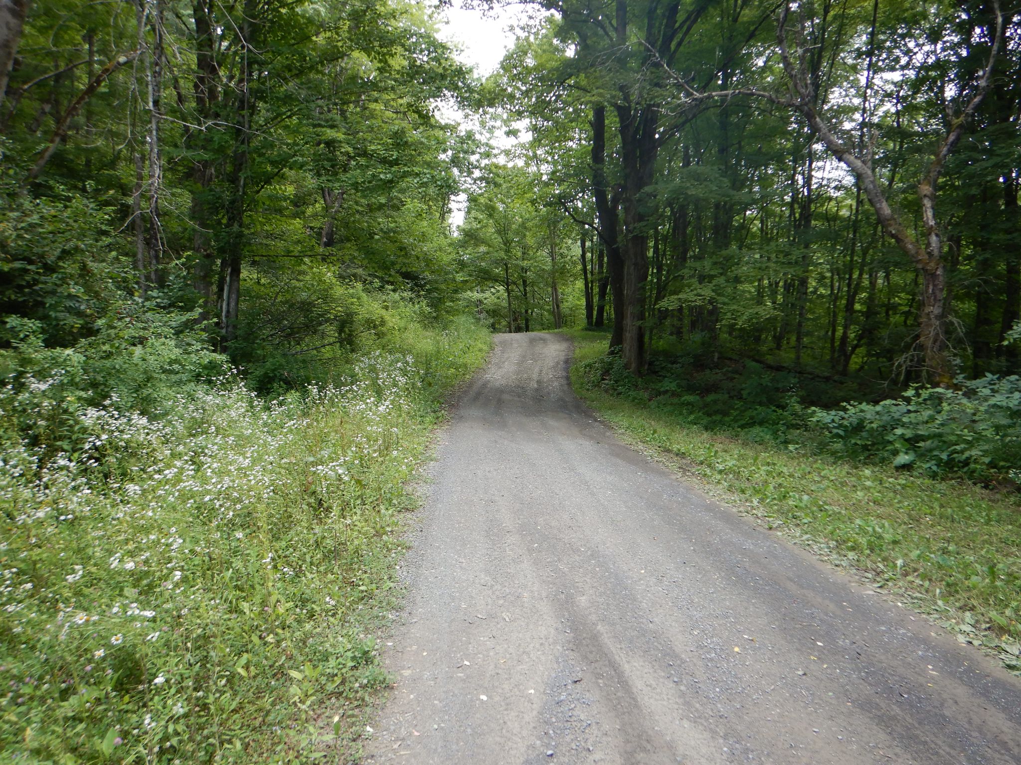 Chaffee Creek