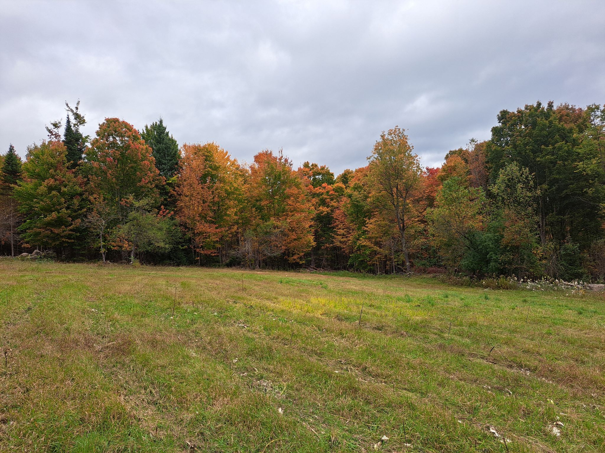 Listing Image 93