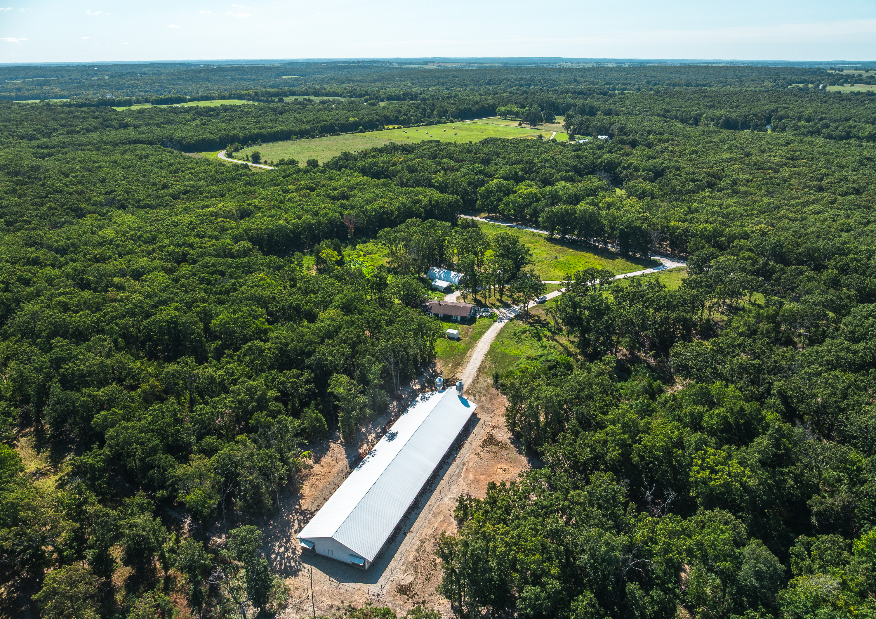 Cage Free Chicken Farm