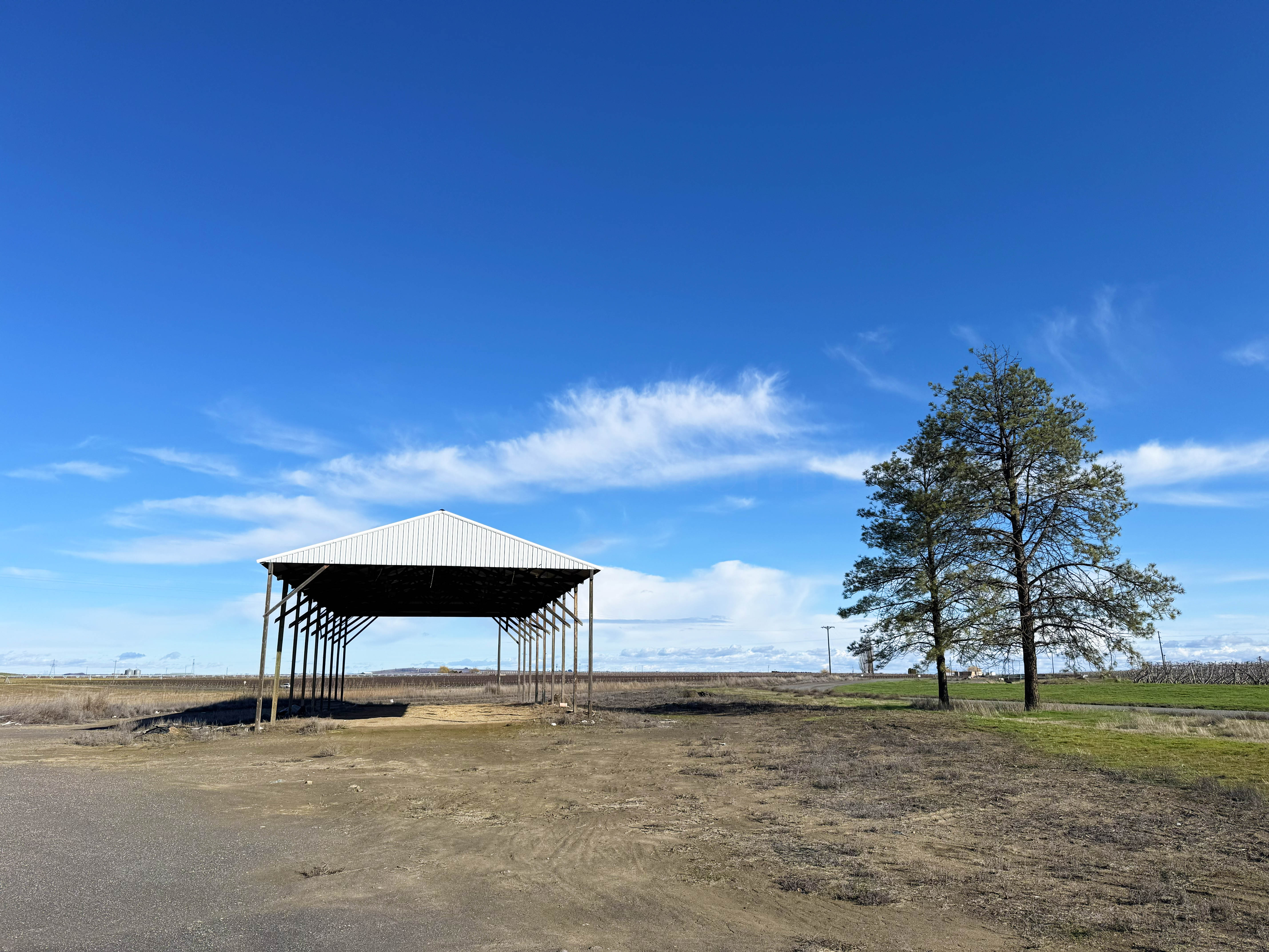 Fern Road Irrigated farm