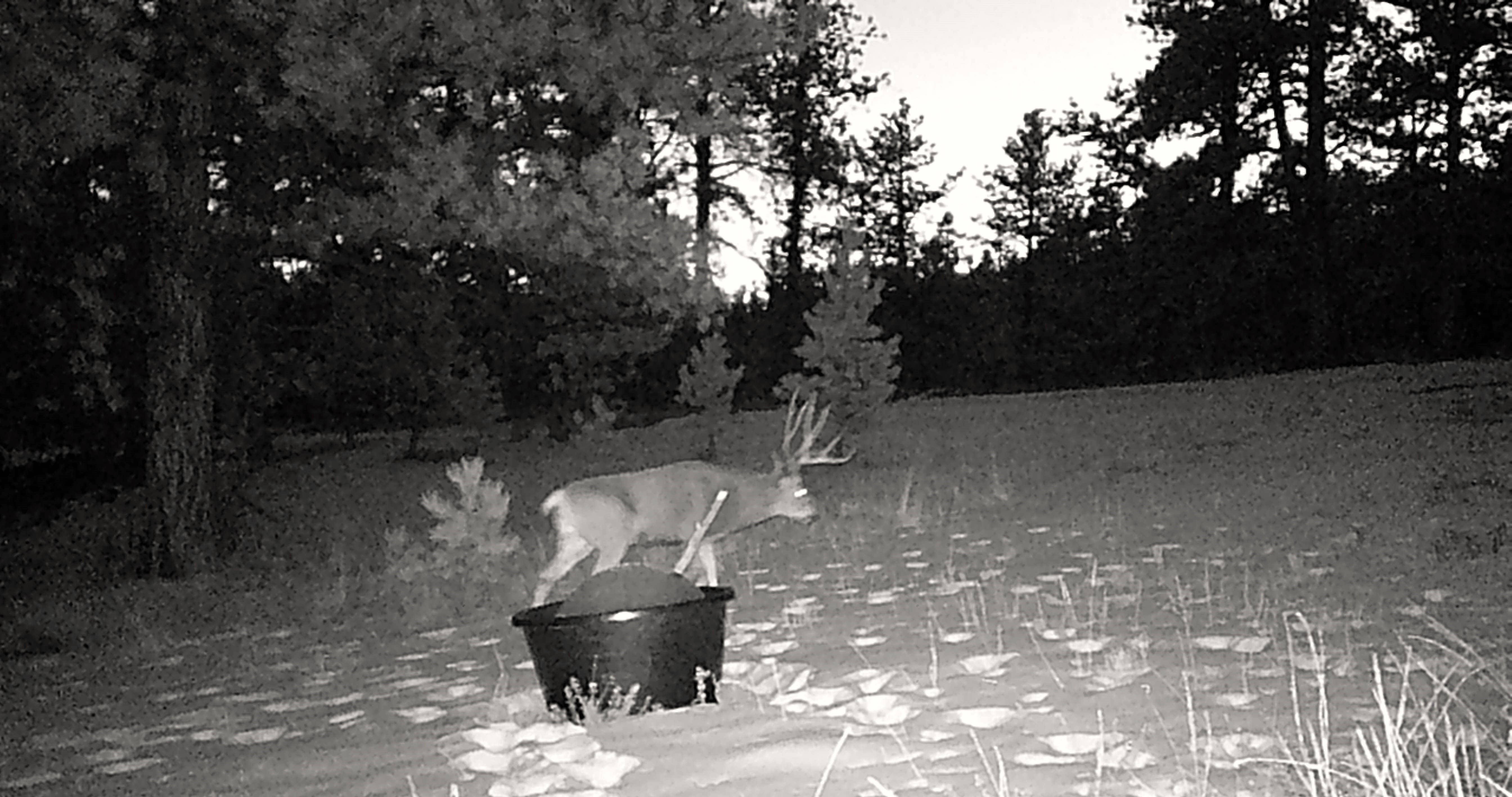 Listing Image 54