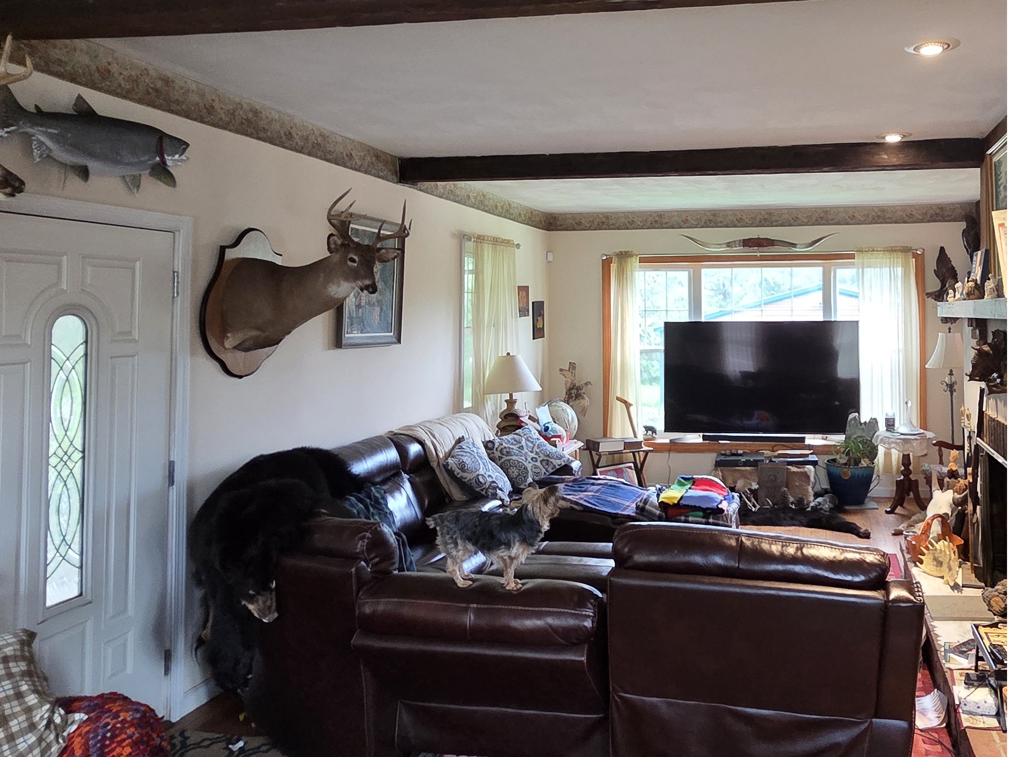 Listing Image 17