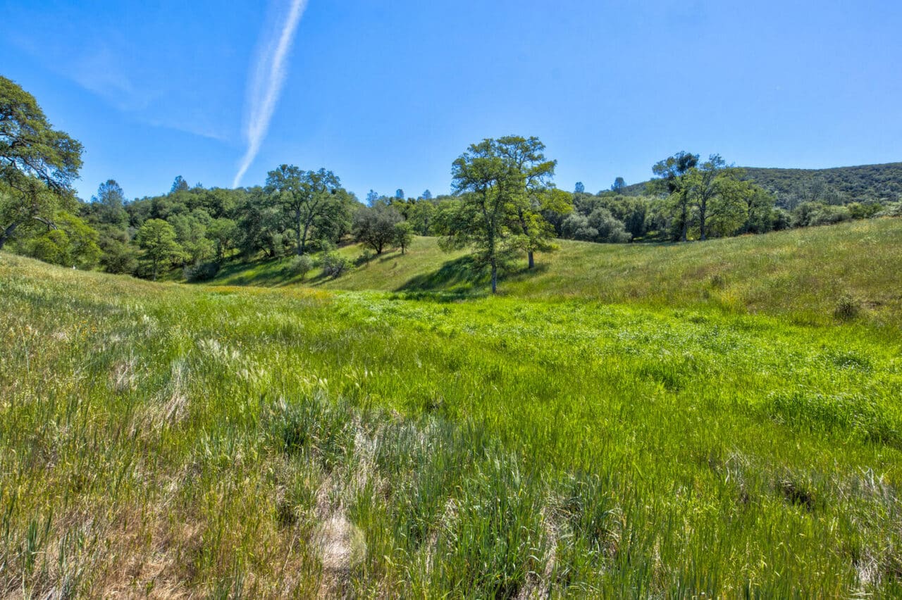 Listing Image 89