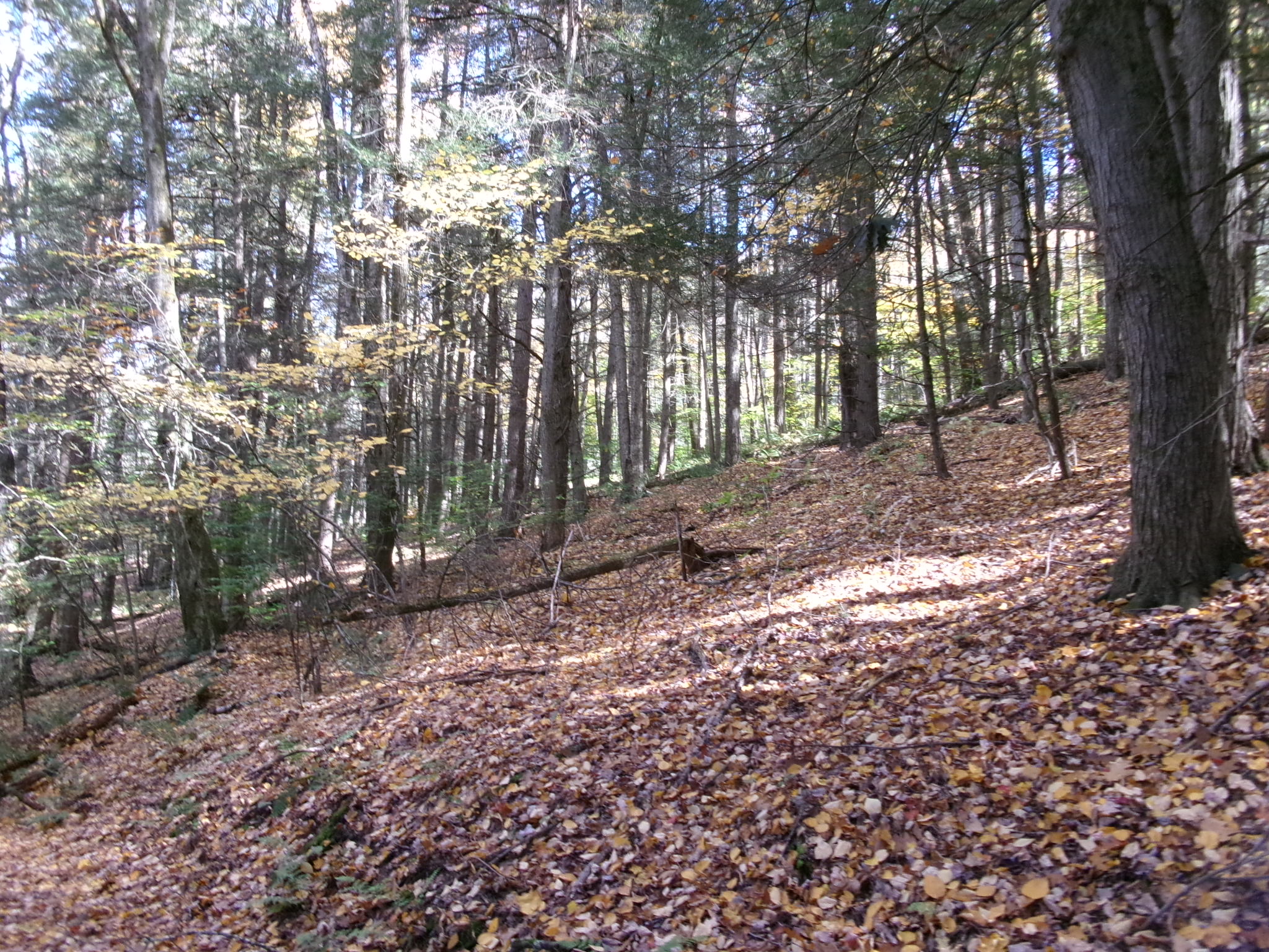 Listing Image 26