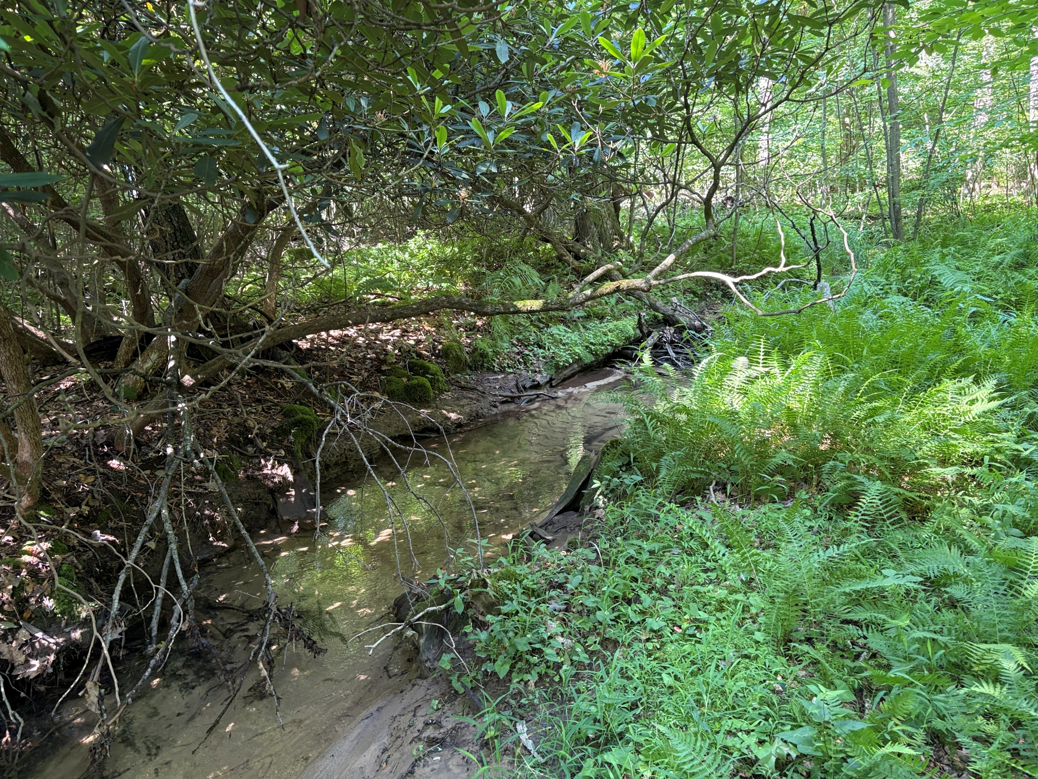 Listing Image 38