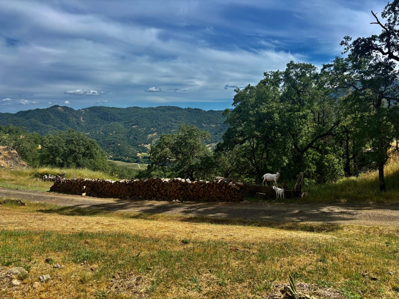 McNab Crag Ranch