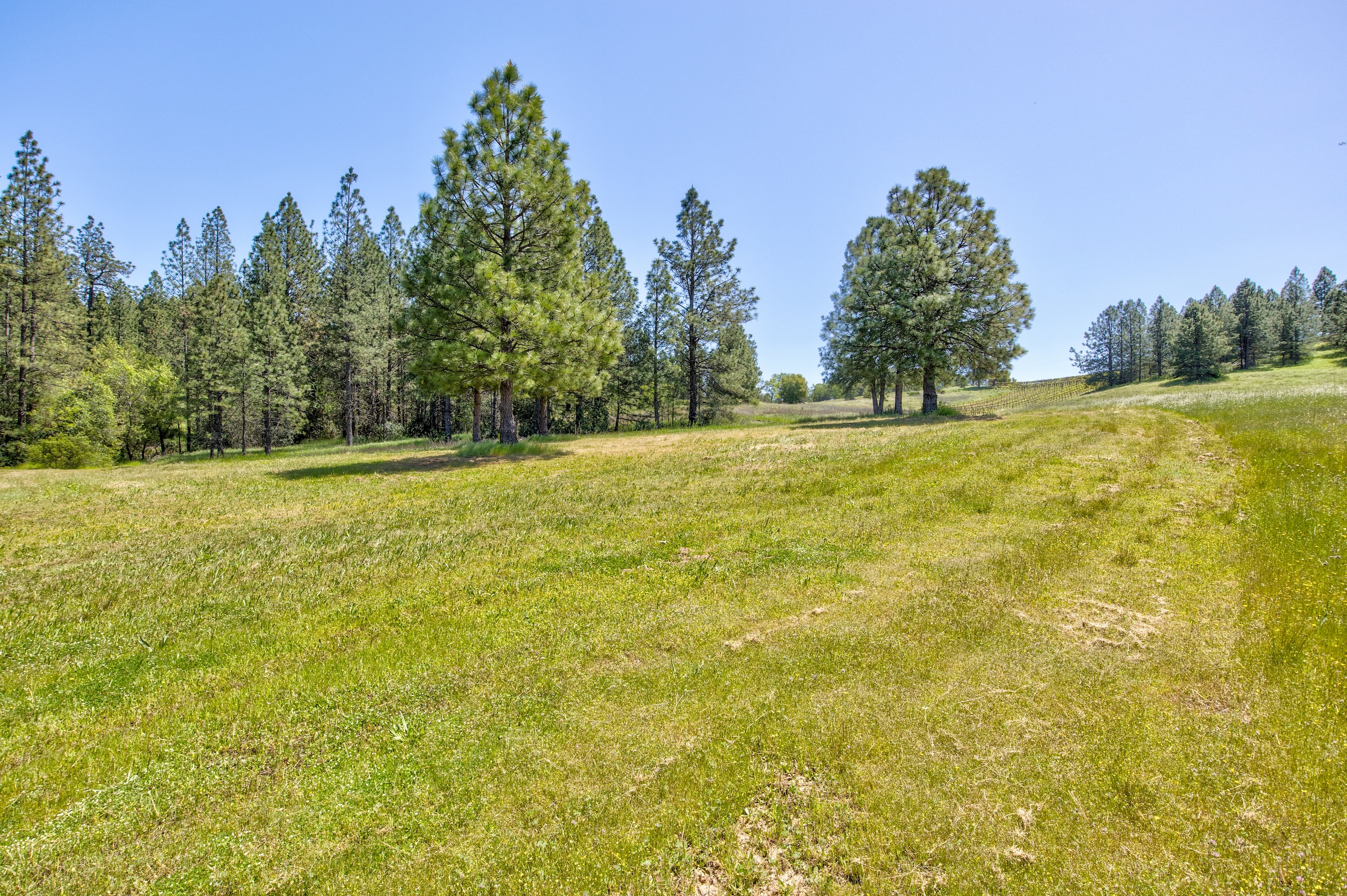 Listing Image 68