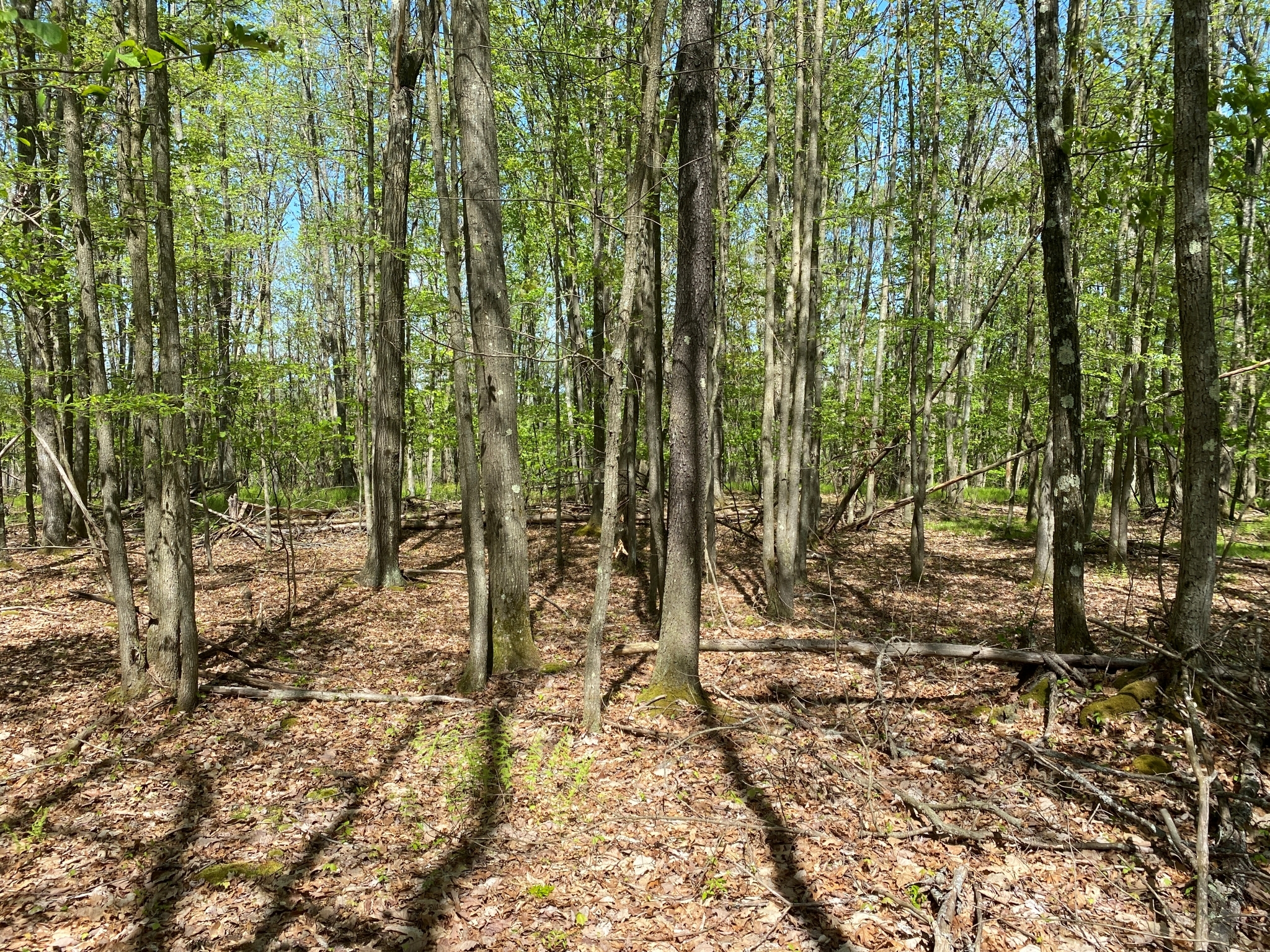 Listing Image 27