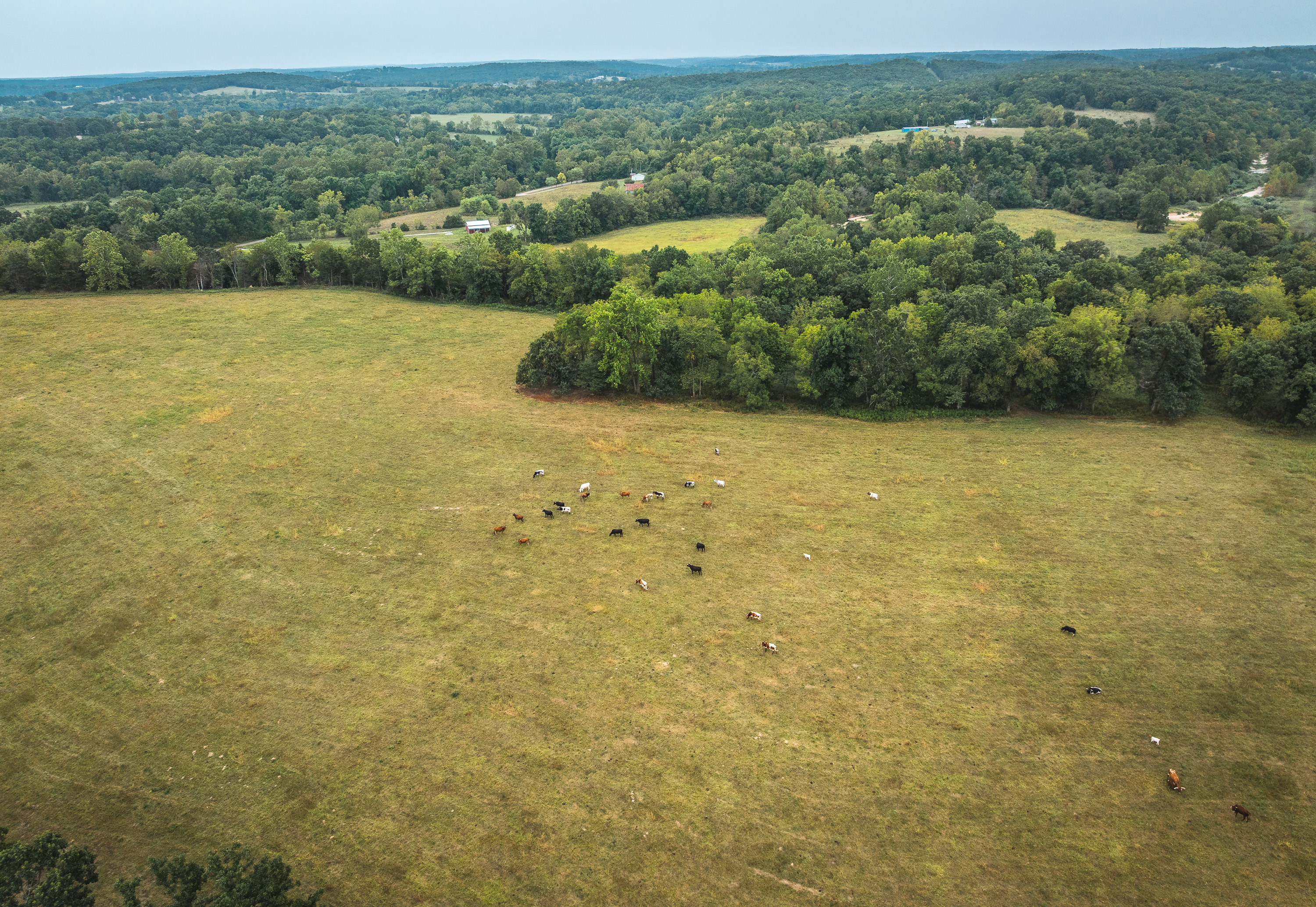 Twin Creek Farm