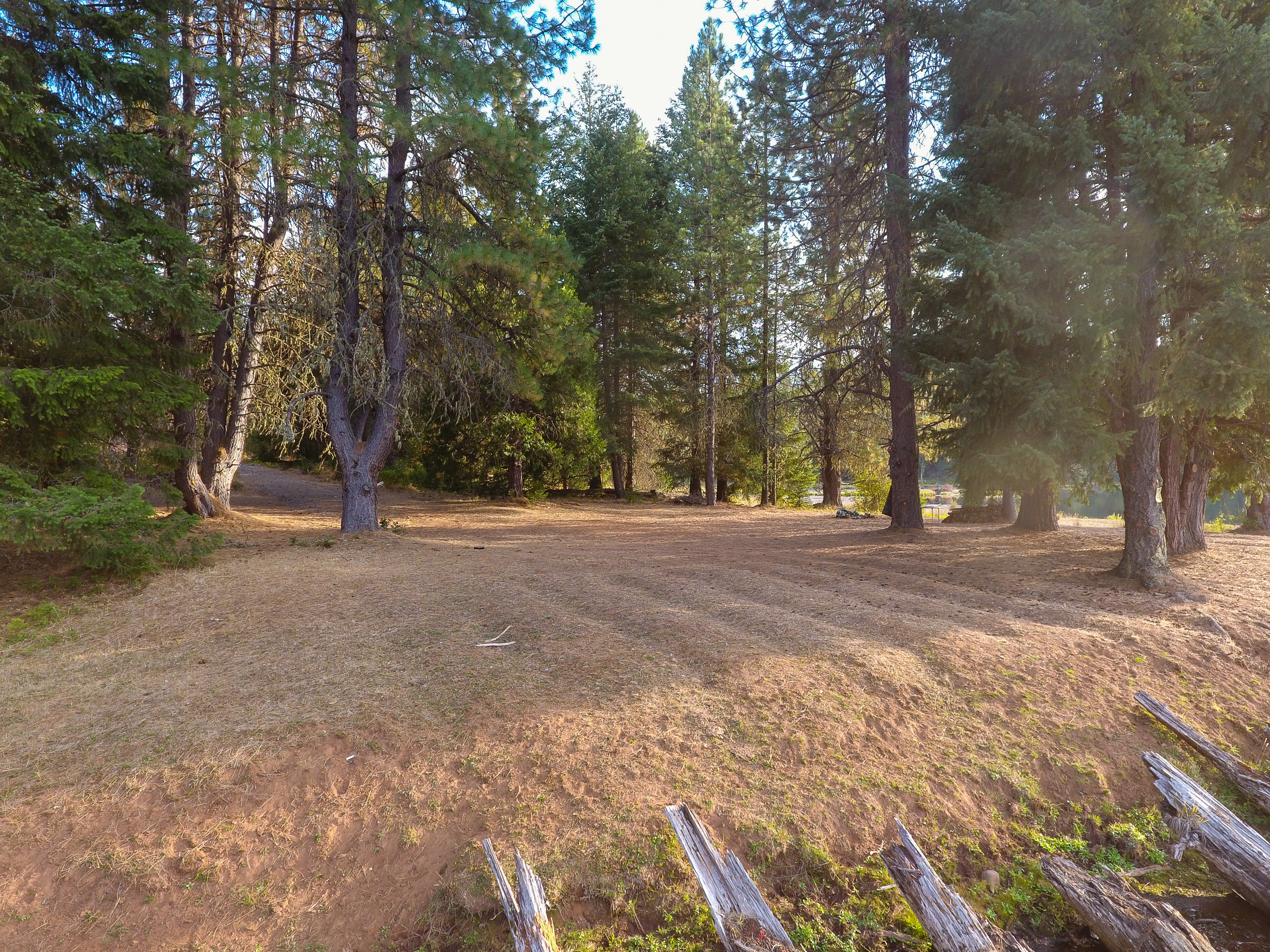 Medco Pond- Recreational Retreat