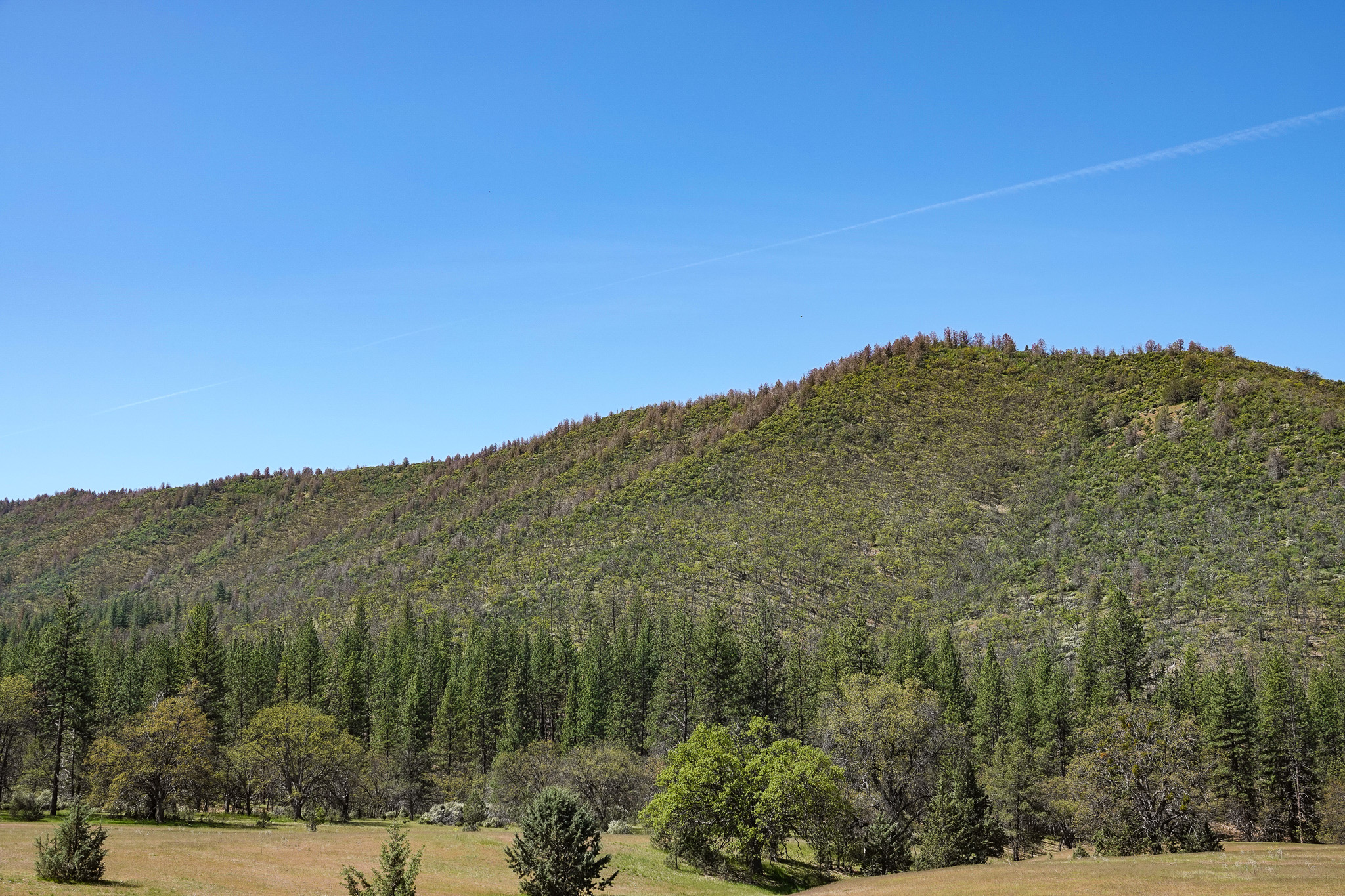 East Road Ragland Gulch Acreage
