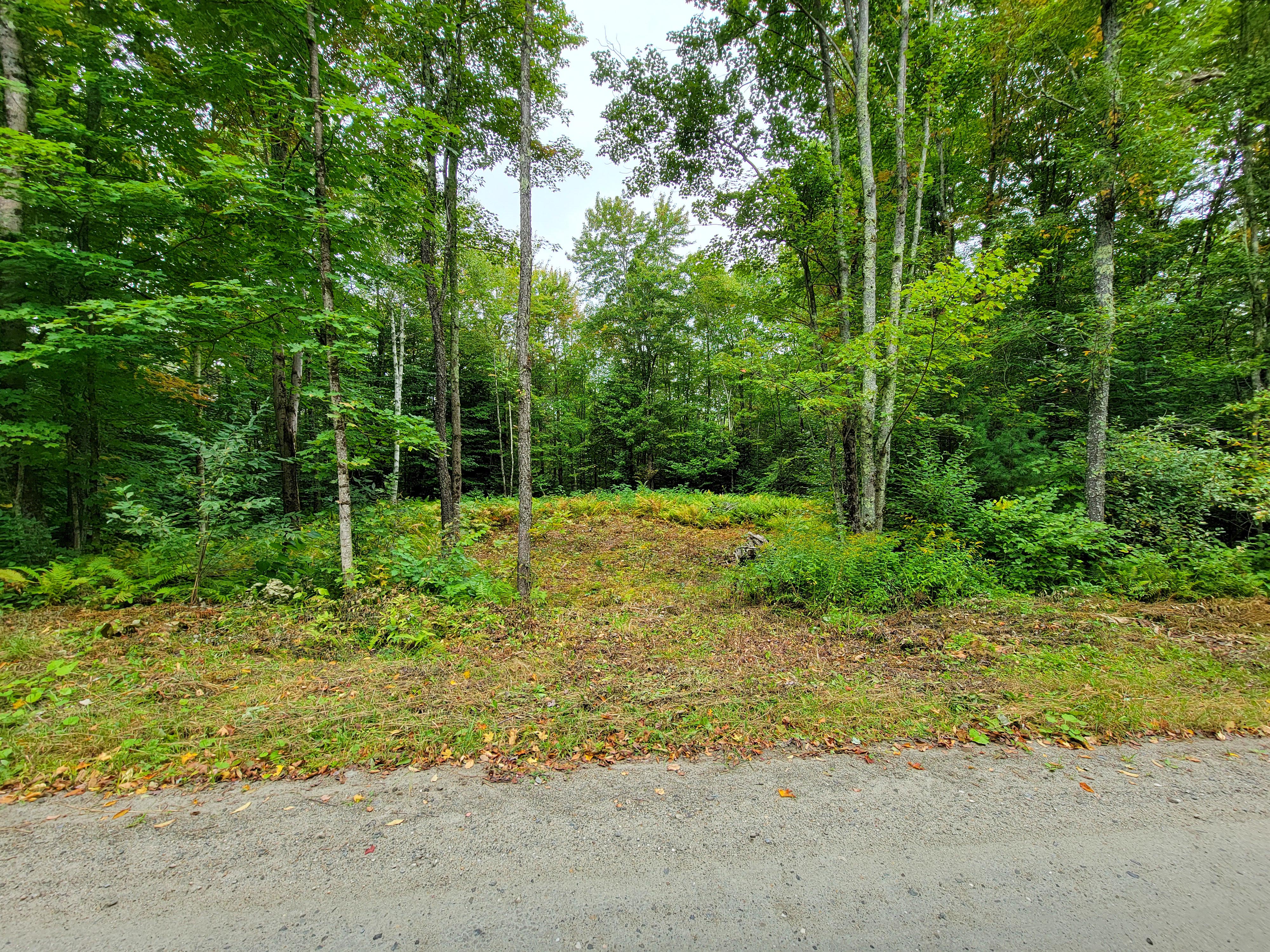 Listing Image 58