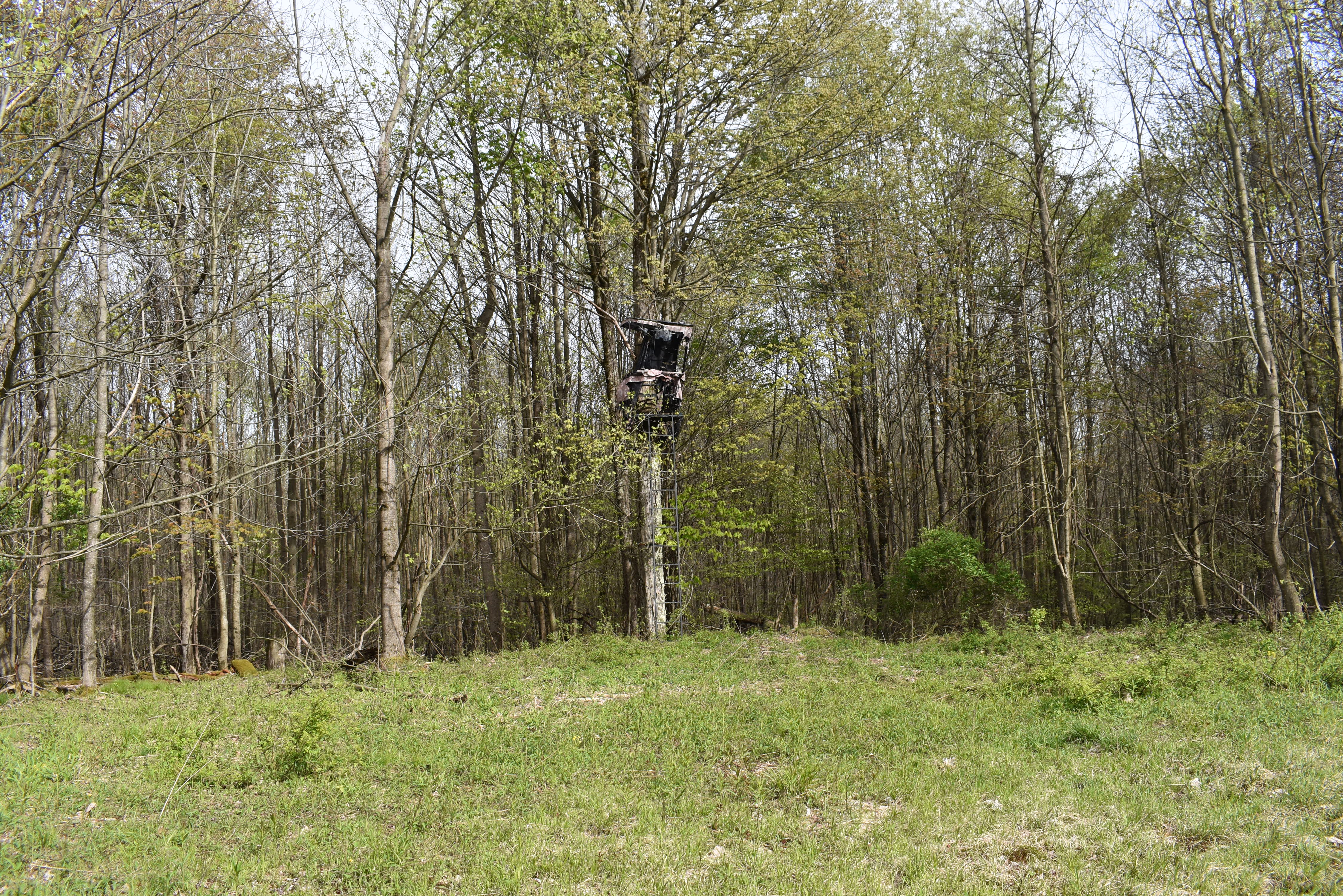 Listing Image 4